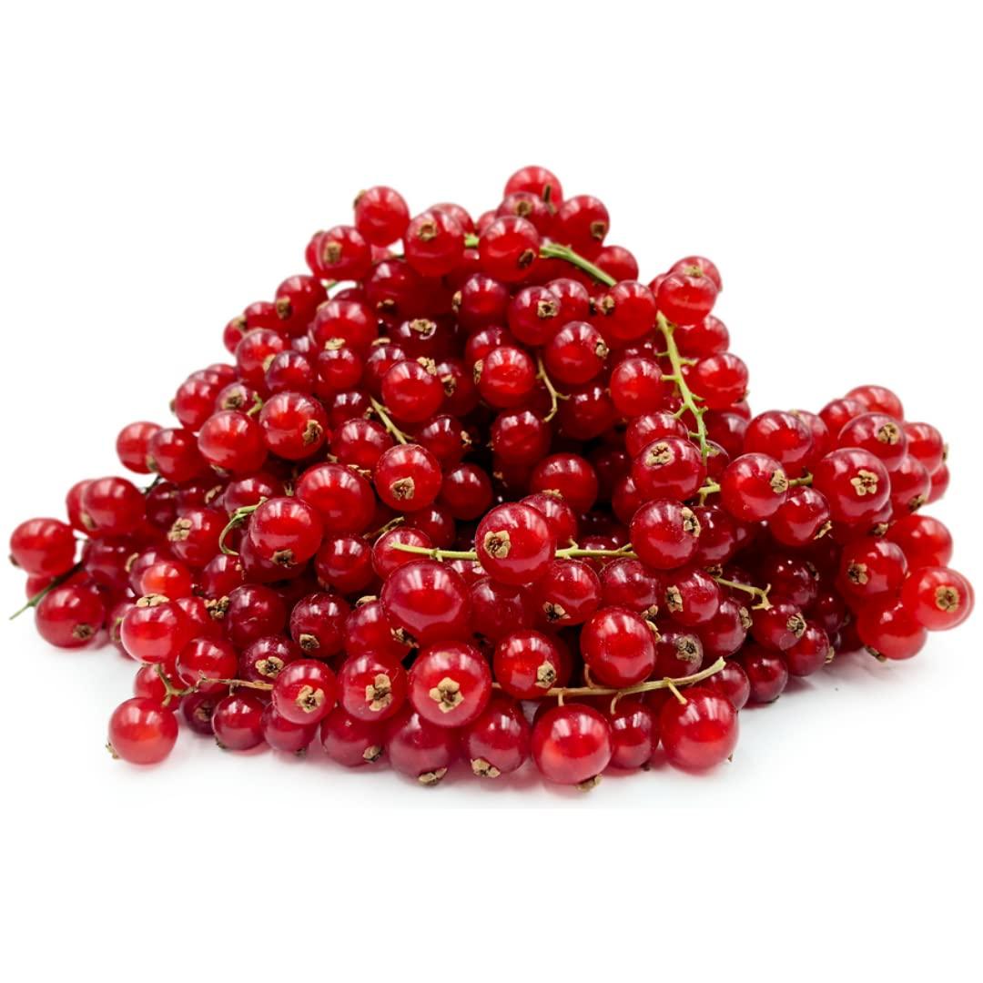 Red Currant Berries 125g x 12 Units | Buy Now with Express ...