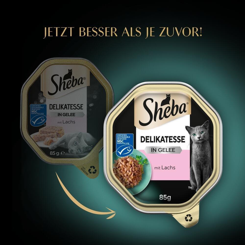 Salmon Amazon Sheba Cat Food Sheba Kitten Food Sheba Dry Cat Food