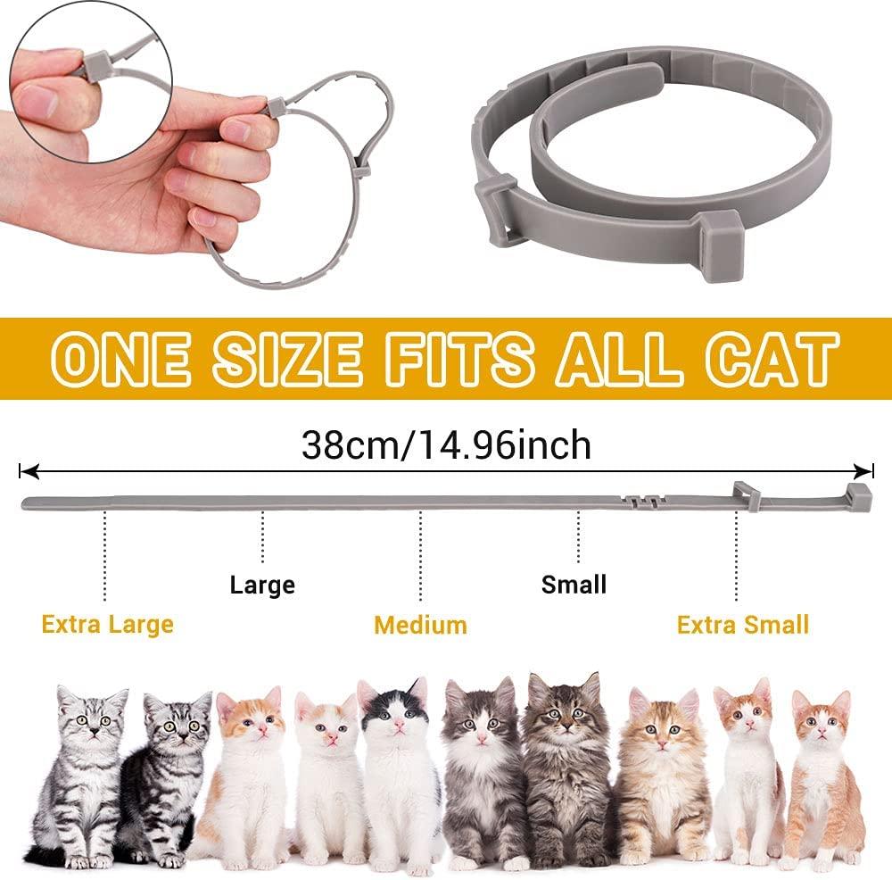 Large cat collar size hotsell