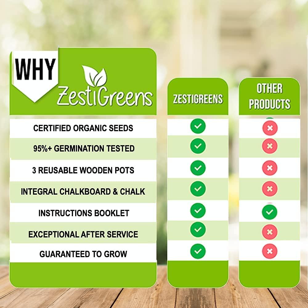 Cat Grass for Indoor Cats with 3 Wooden Planters, Certified Organic