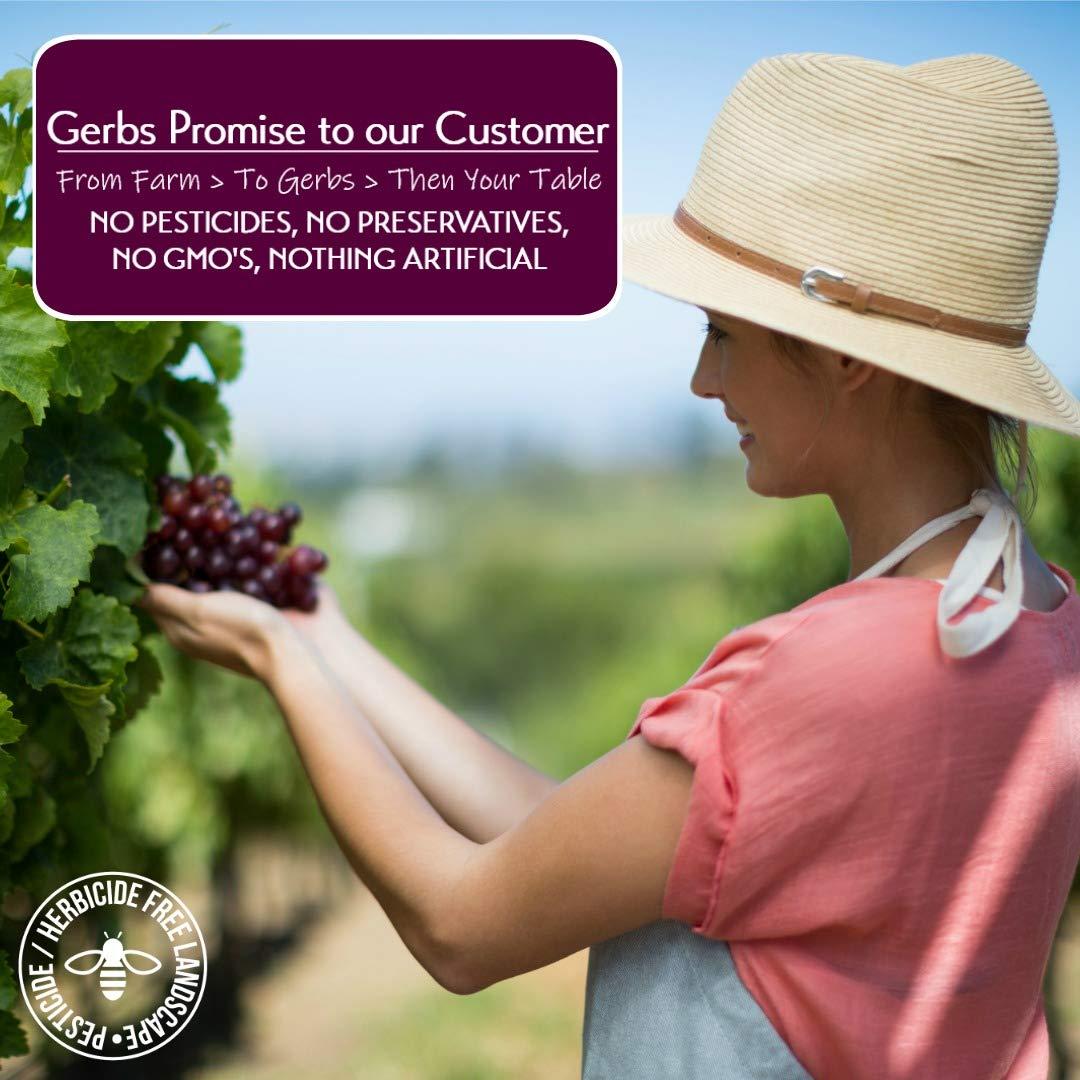 GERBS California Raisins 2 LBS. Freshly Dehydrated Resealable Bulk Bag Top Food Allergy Free