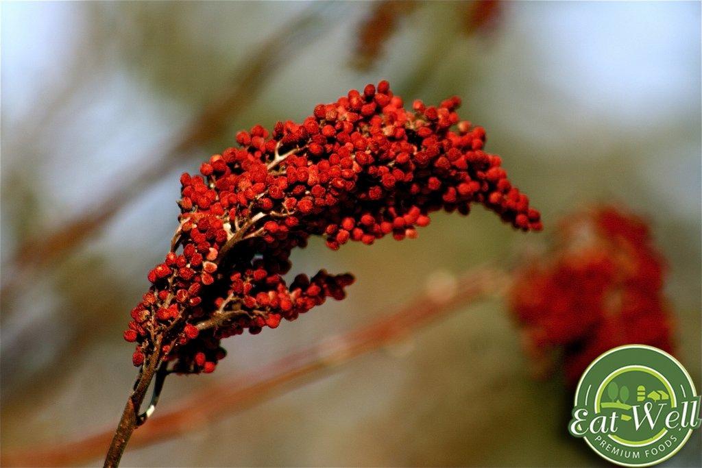 Eat Well Premium Foods Sumac Spice 16 oz Reseable Bag, Bulk Ground