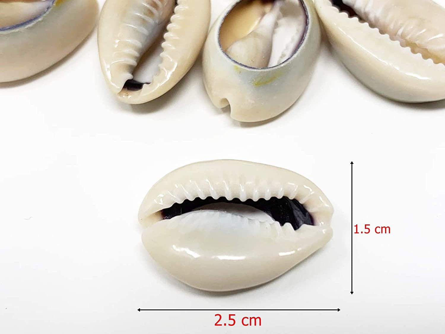 Crispy Collection Sea Shell Hair Beads 2-Pack - Cowrie Dreadlocks Braid ...