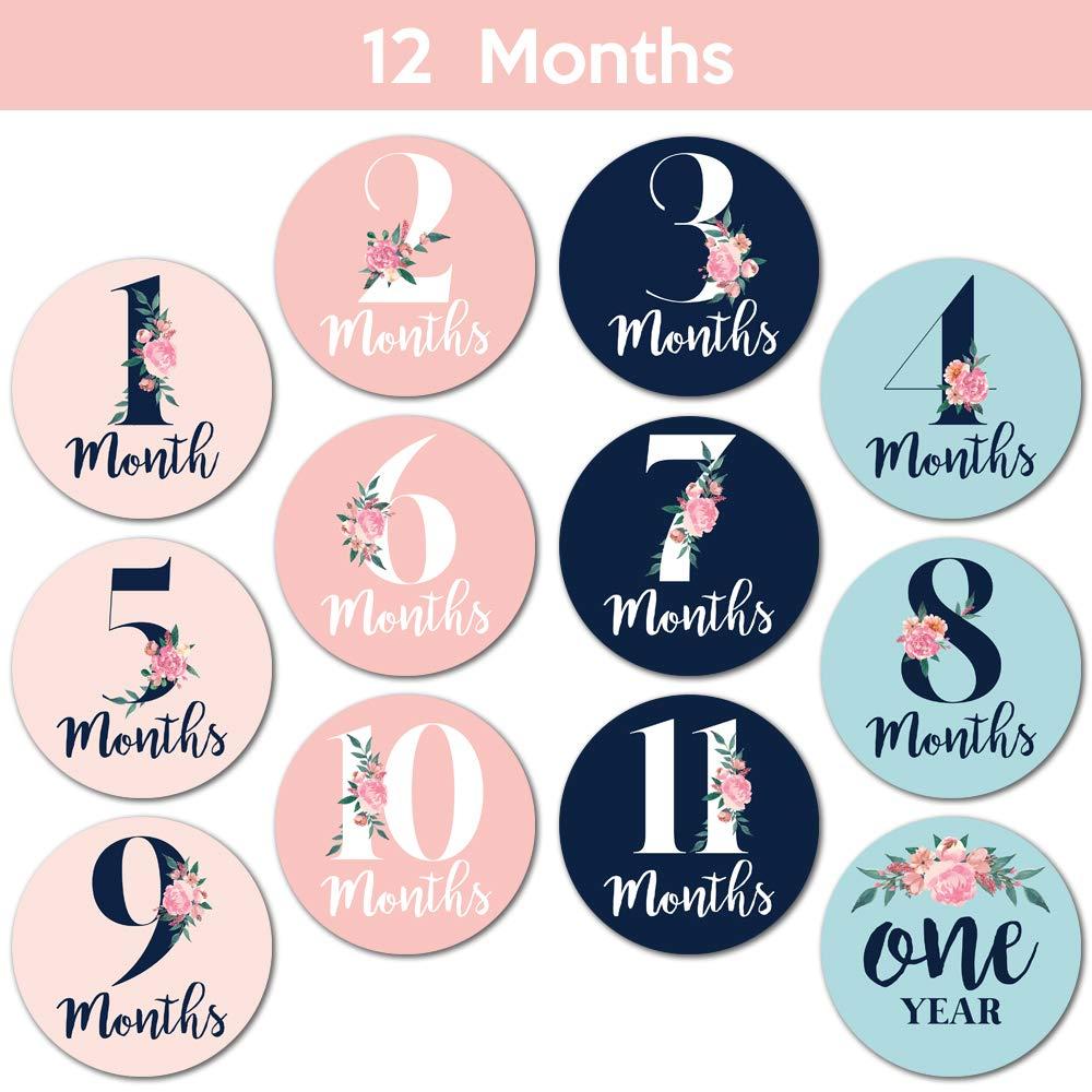 Baby Monthly Stickers | Navy Floral Baby Milestone Stickers | (set Of 24) | Newborn Girl