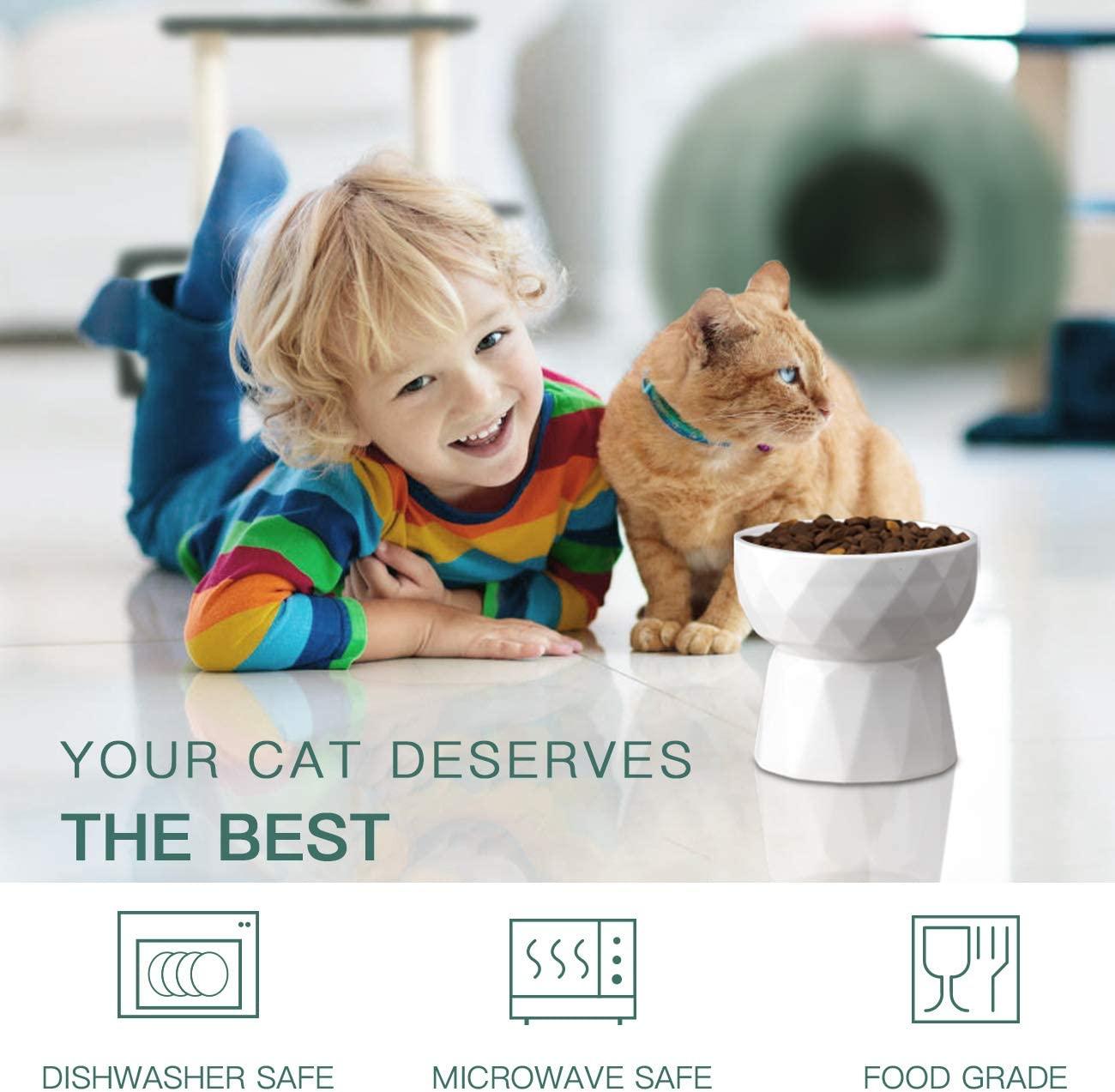 Frewinky Ceramic Cat Bowls - Anti Vomiting Raised Cat Food & Water Bowl Set  - 13.5 Oz Pure White | Buy Now with Express International Delivery |  GoSupps.com