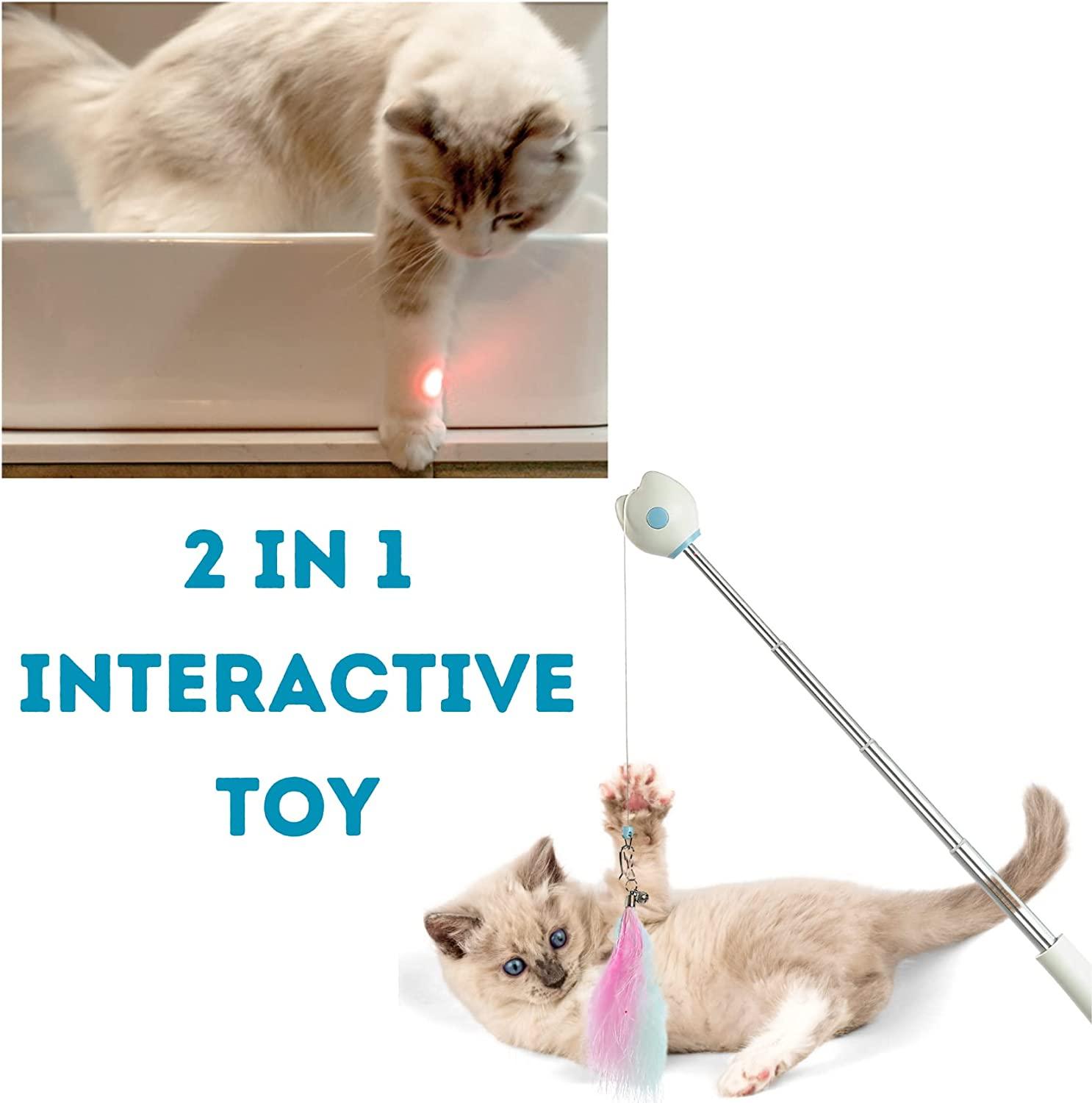 IN 1 Interactive Feather Cat Toys Pet Cat Toy Fishing Rod Retractable  Feathers Funny Cat Pole Five Replacement Head Tools