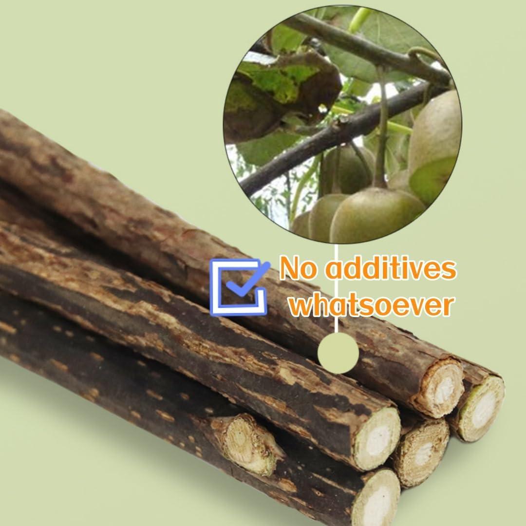 Buy Matatabi Cat Mint Sticks - 40 Pieces for Dental Care | Catnip Toys for  Cats | Buy Now with Express International Delivery | GoSupps.com