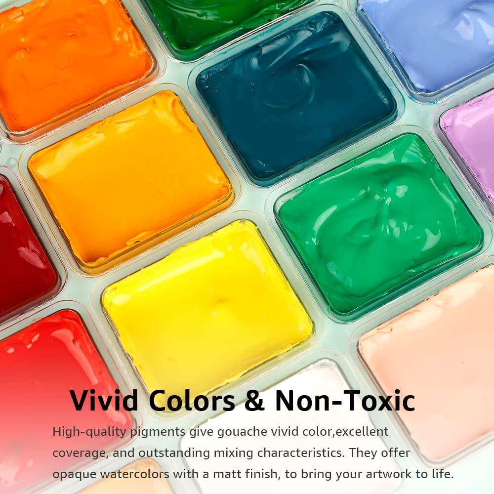 HIMI Gouache Paint Set Jelly Cup 18 Vibrant Colors Non Toxic Paints with  Portable Case Palette for Artist Canvas Painting Watercolor Papers, Rich
