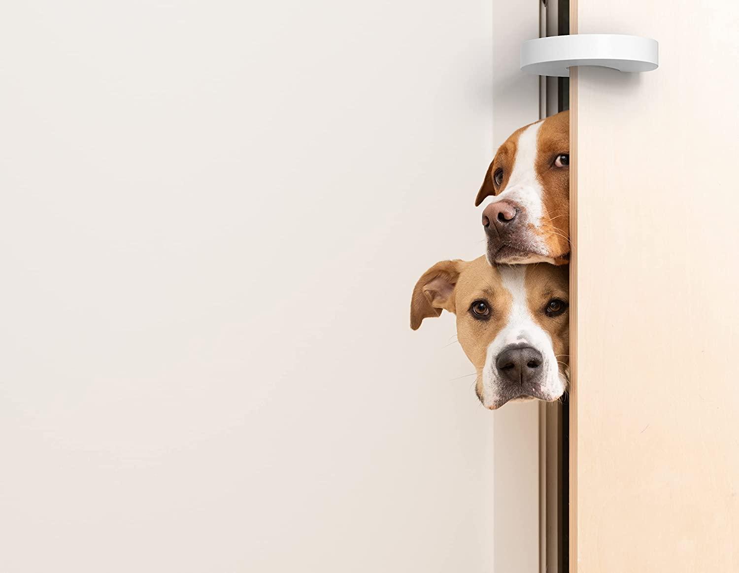 Bhcstore Puerta De Seguridad De De CSDSTORE A