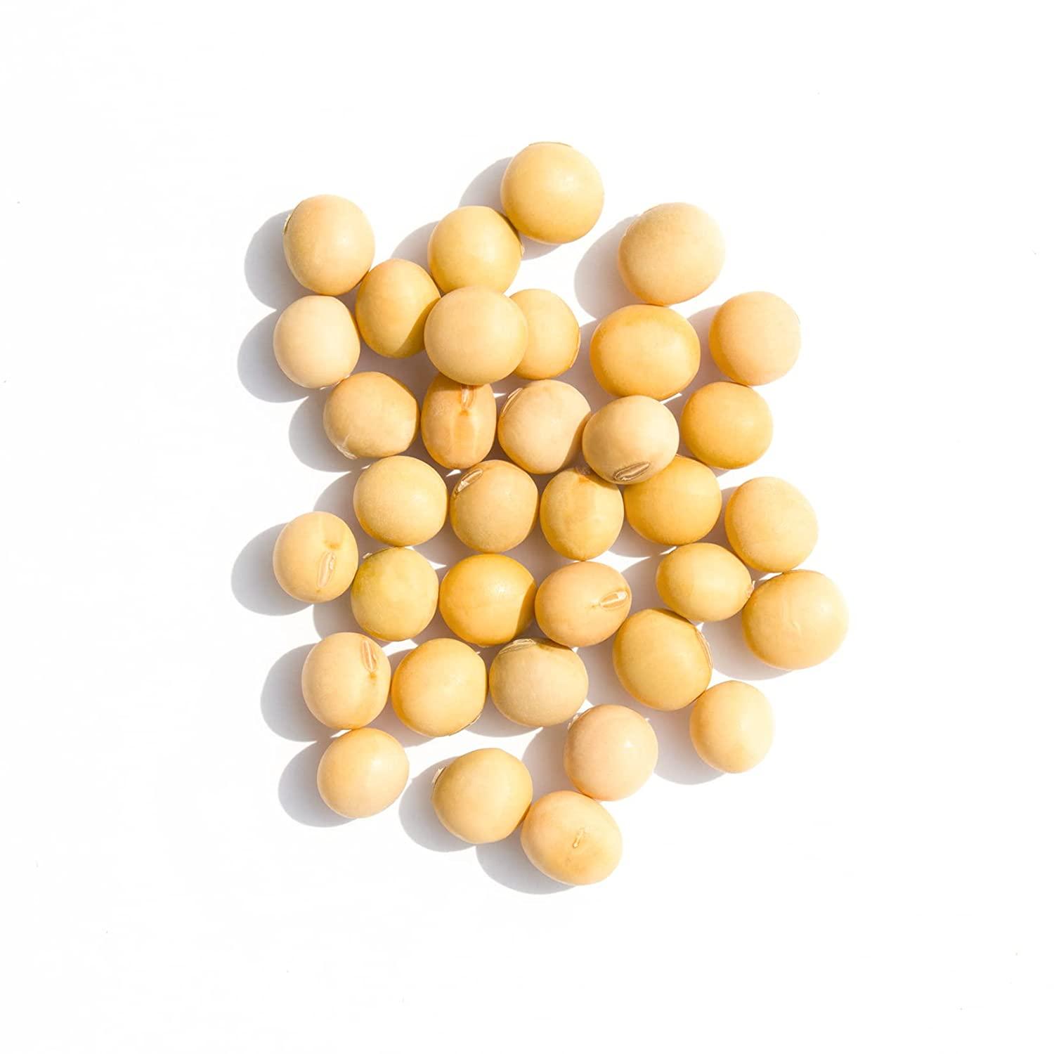 ROM AMERICA NONGMO Soybeans (2 LBs) 2 Pound (Pack of 1)