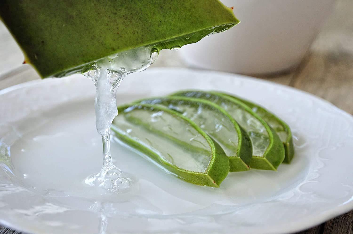 face moisturiser with aloe vera Aloe Vera Day Cream