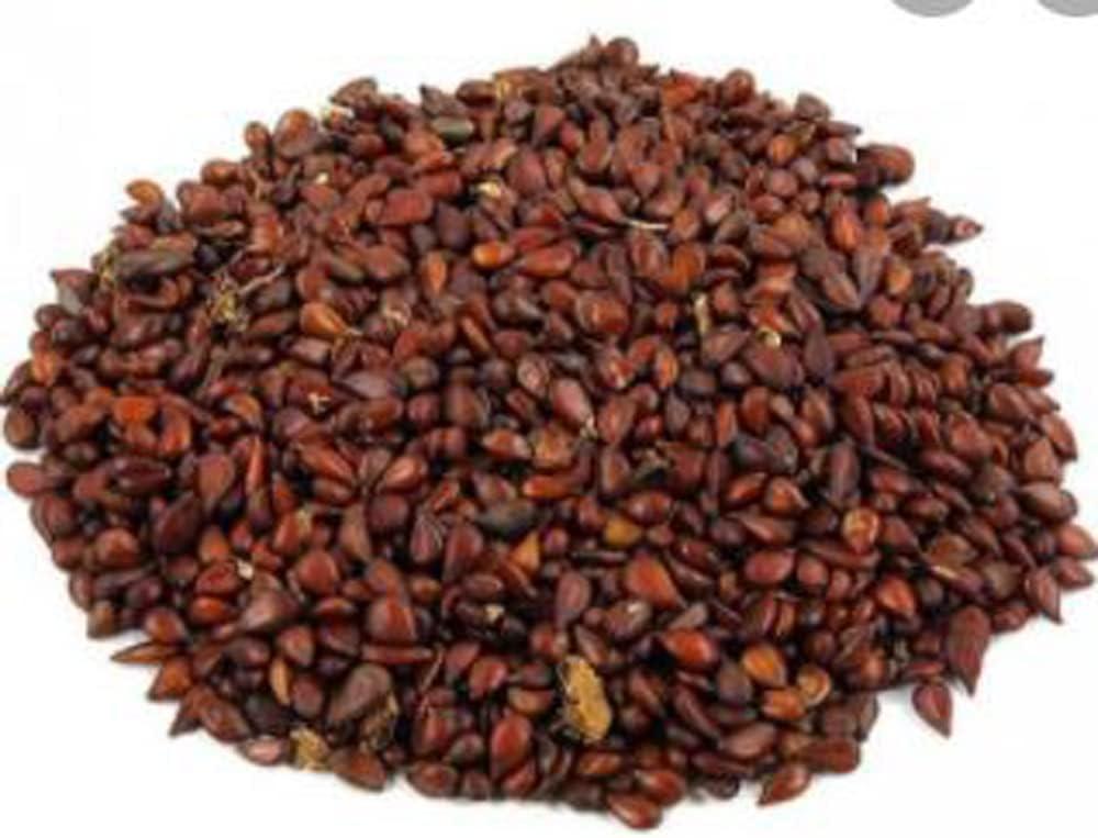 AQSh dengiz floti porno Rus gey jinsiy aloqa xususiy