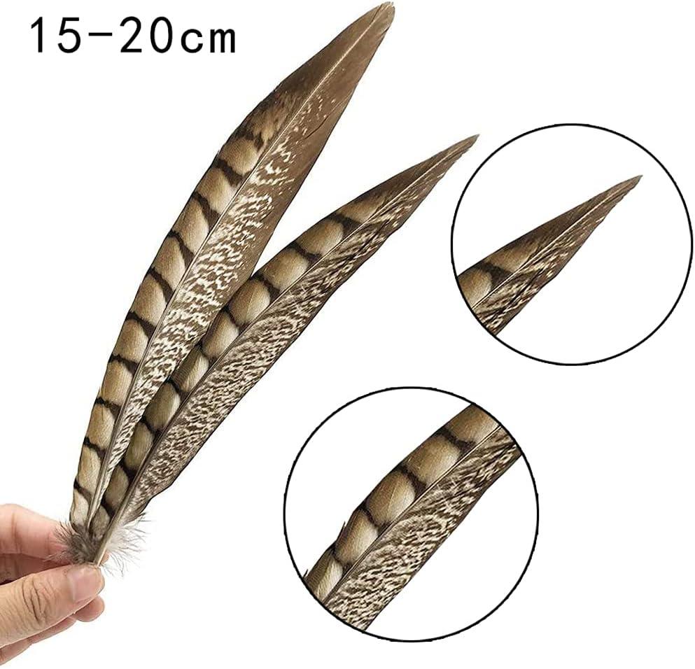 Flying Feathers Natural Pheasant Feathers 4 Style 15-20cm 12pcs Natural  Feathers for DIY Craft Home Party Decorations FF03