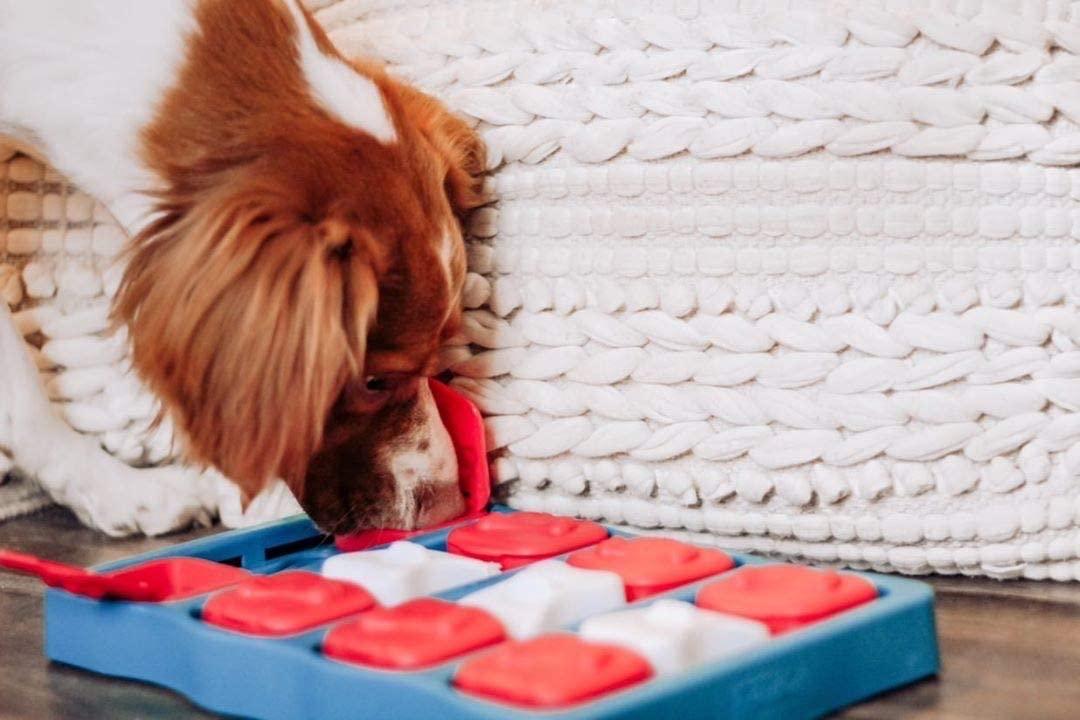 Nina Ottosson by Outward Hound Dog Casino Interactive Treat Puzzle Dog Toy