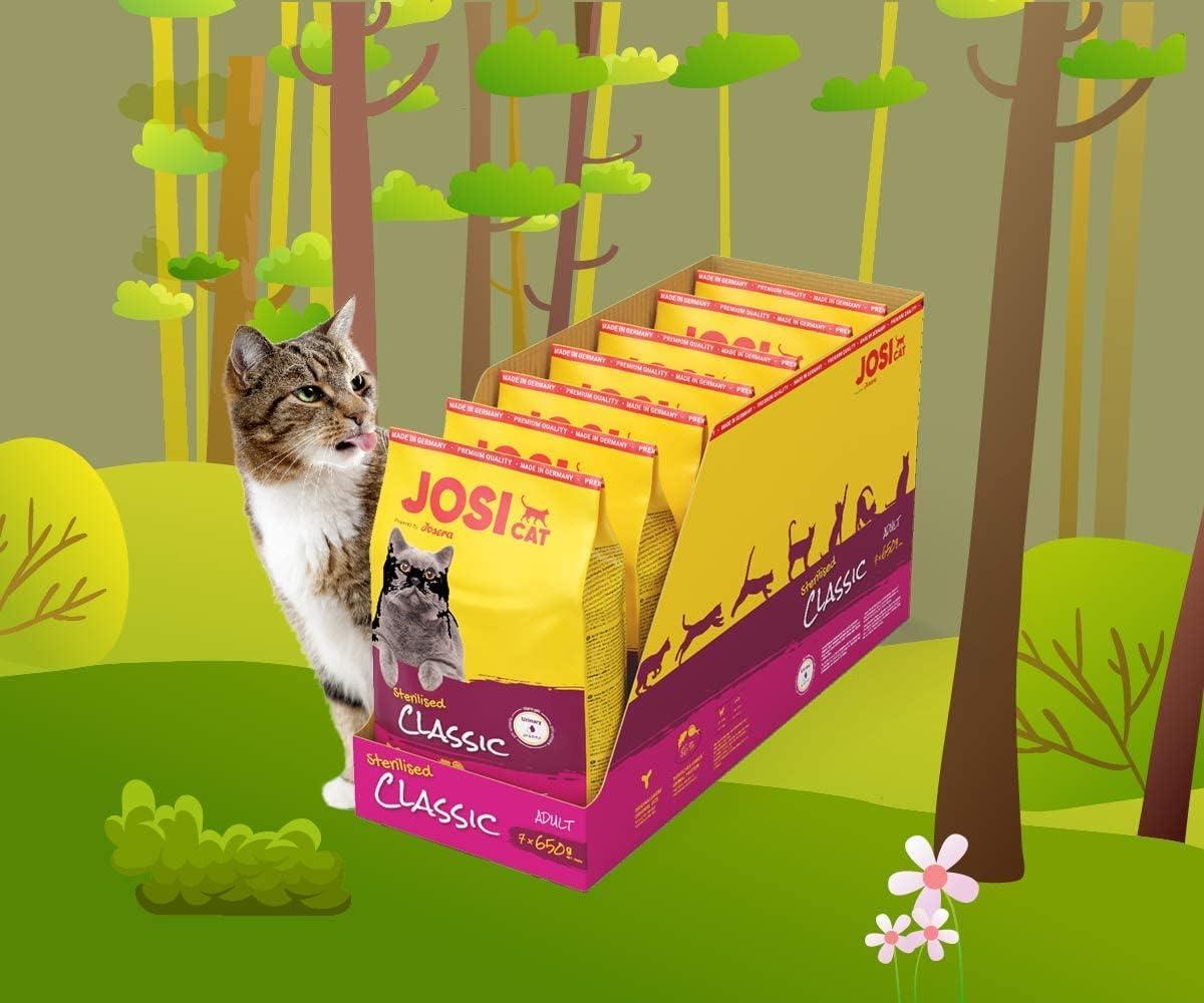 JOSERA Kattenvoer JOSICAT Josera Paté Met Kip 32 X 100g | Graanvrij Natvoer Voor Volwassen Katten | Met Inuline & Vitamines Josera JosiCat Kip Paté 100g Blikjes Volledig Voer Katten