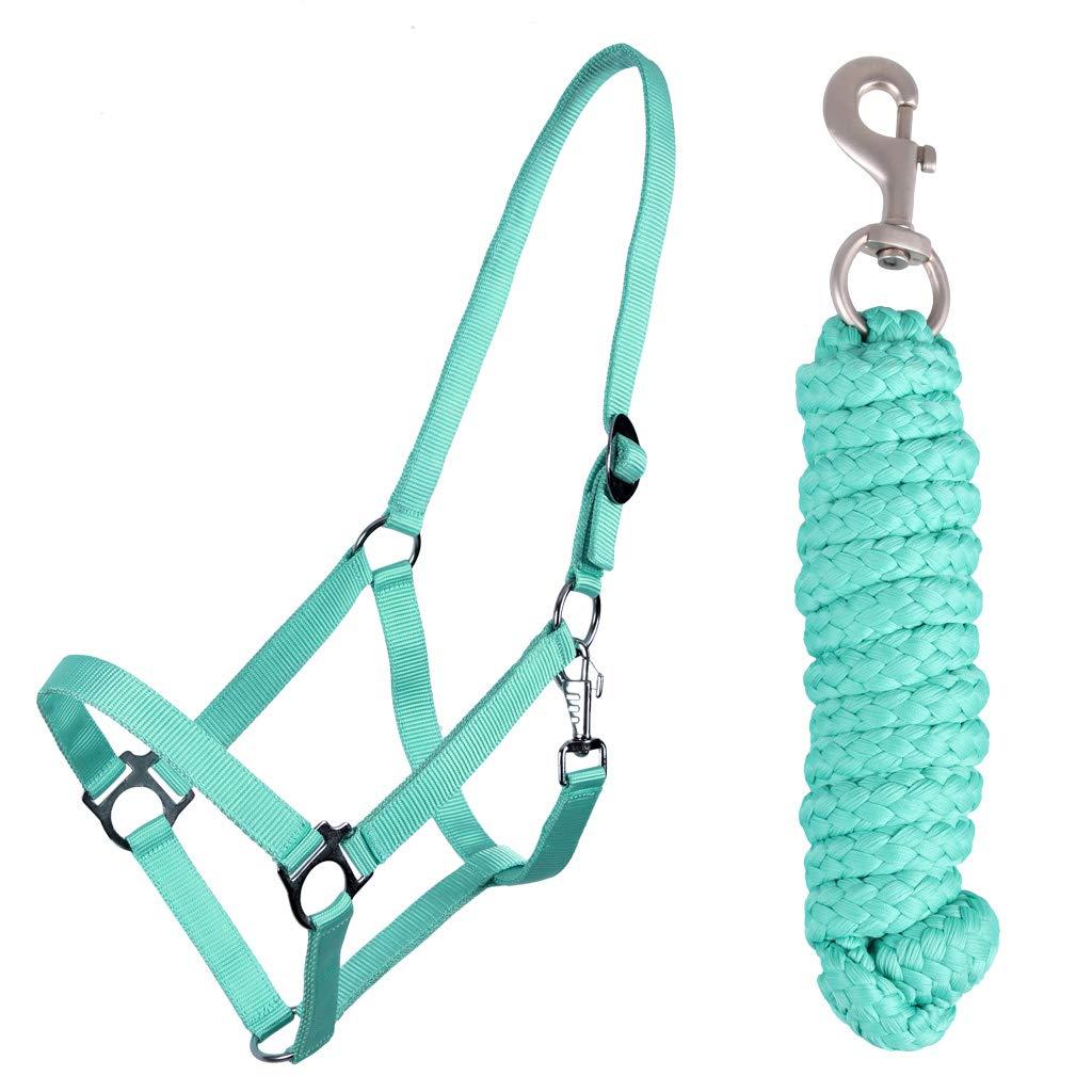 QHP Halter Set for Beginners | Turquoise Pony Halter & Lead Rope with ...