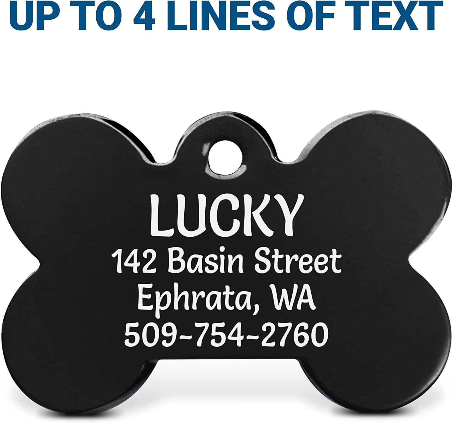 GoTags Personalized Bone Dog Tags in Rainbow Steel, Black Steel or