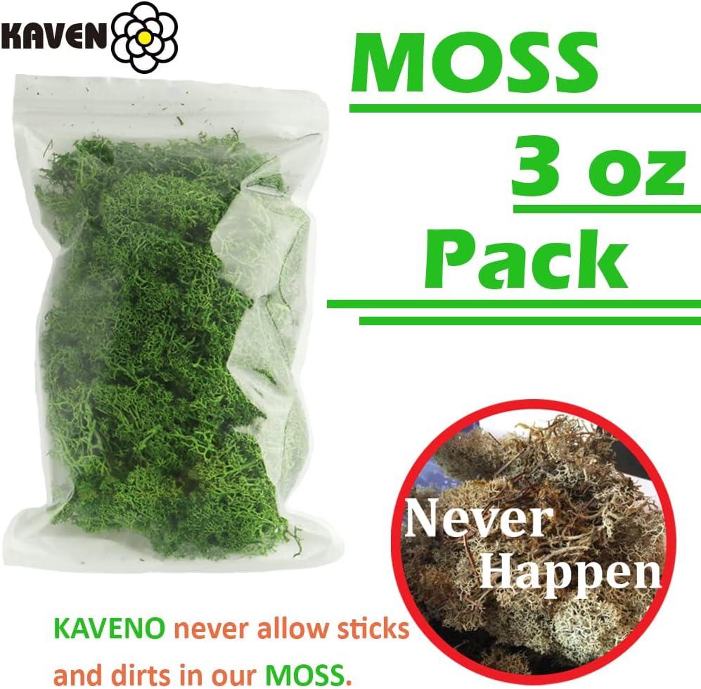 9x6 Bag Fresh LIVING Moss , Selectively Harvested Curated Collection  Terrariums, Zen & Fairy Gardens, Projects, Planters and More 