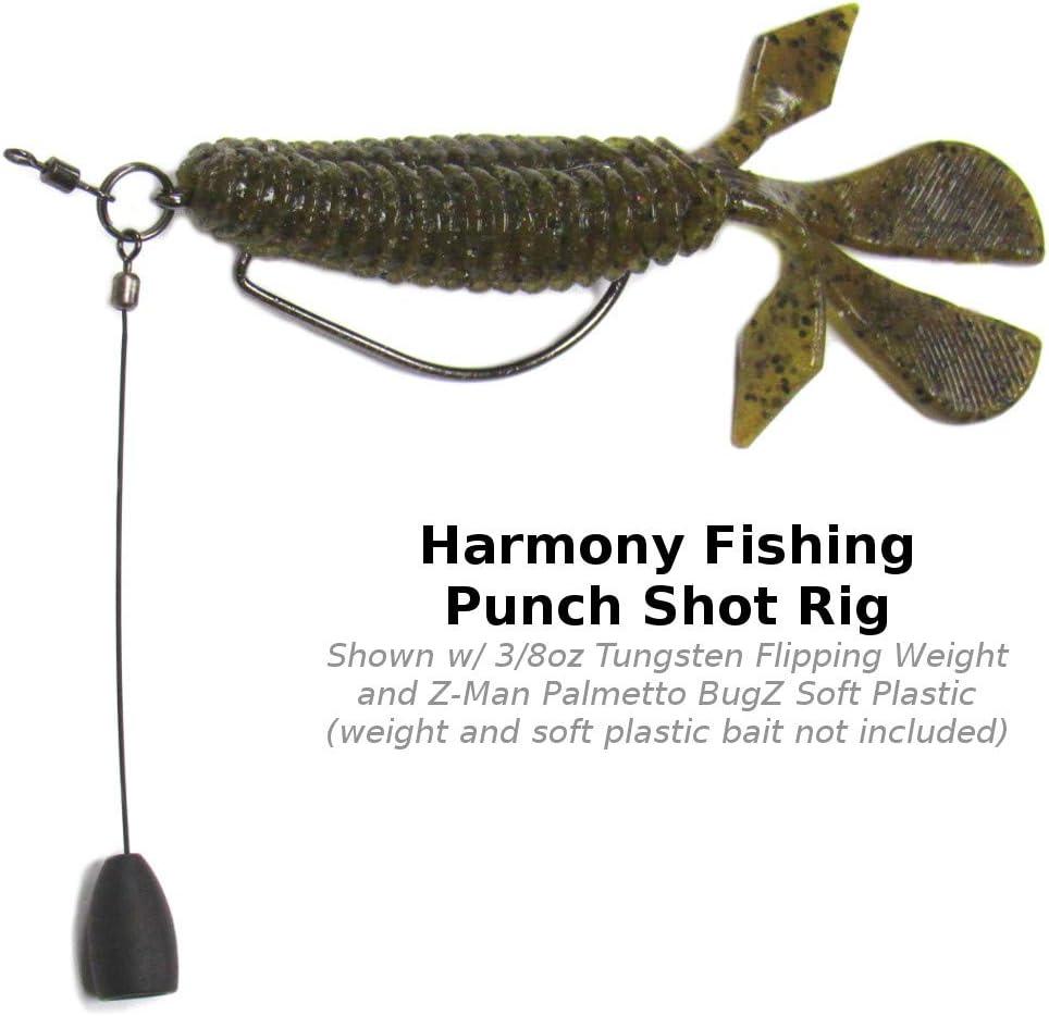 Harmony Fishing - Punch Shot Rig Kit (4/0 EWG Hooks) Interchangeable Hook  Leadered Punchshot Rig Tokyo Style Punch Shot Rig/Jig for Bass Fishing 10  Pack
