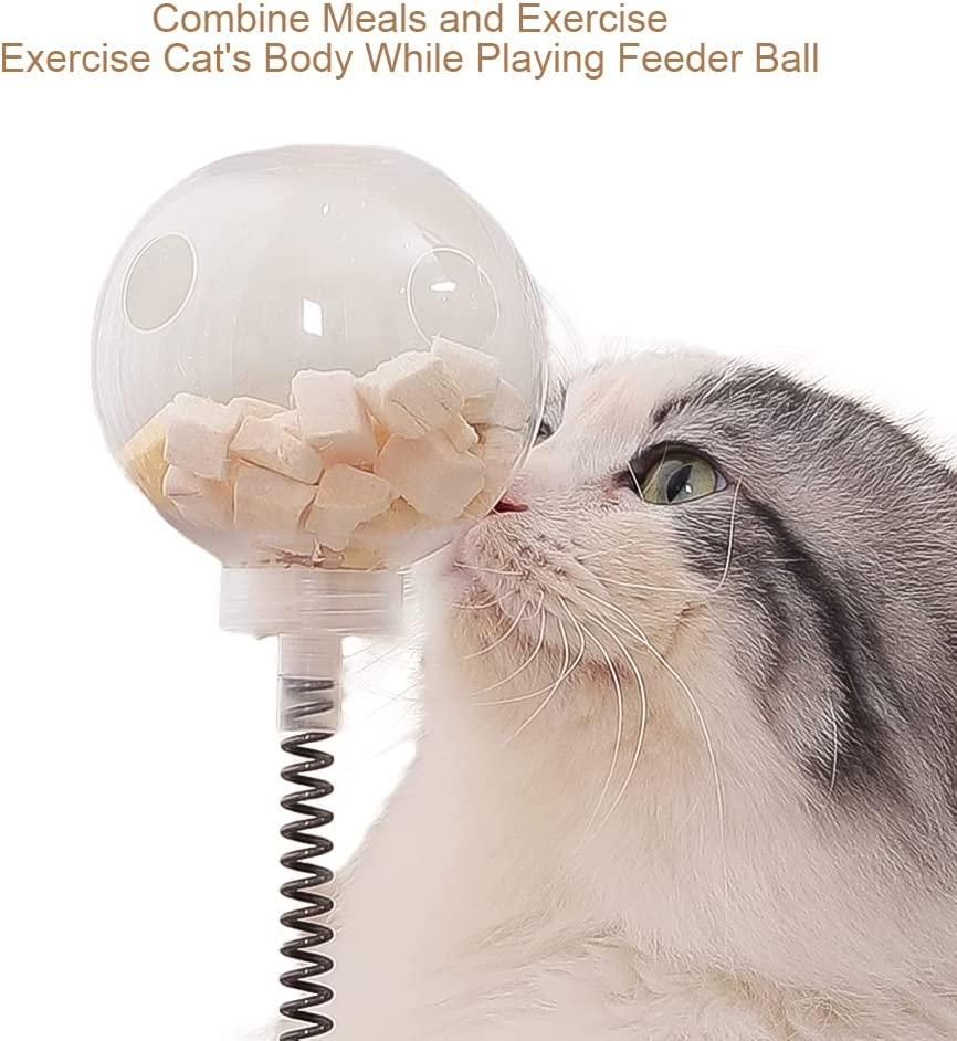 Cat toy feeder ball shop