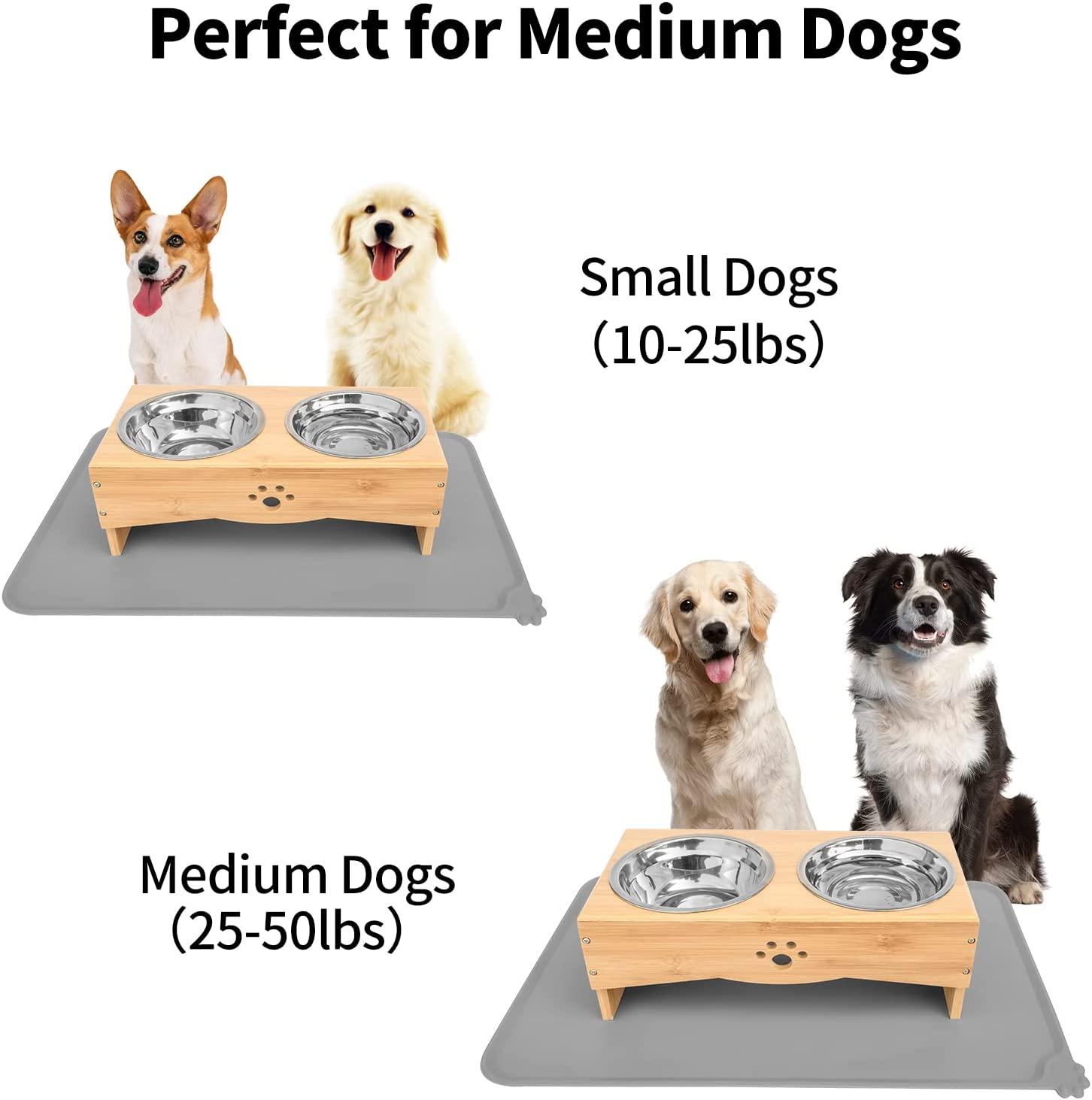 best cat water fountain Mushroom Water Fountain For Cats – Happy & Polly Green / S- 34 oz / Drinking Fountain & Pump main image 1