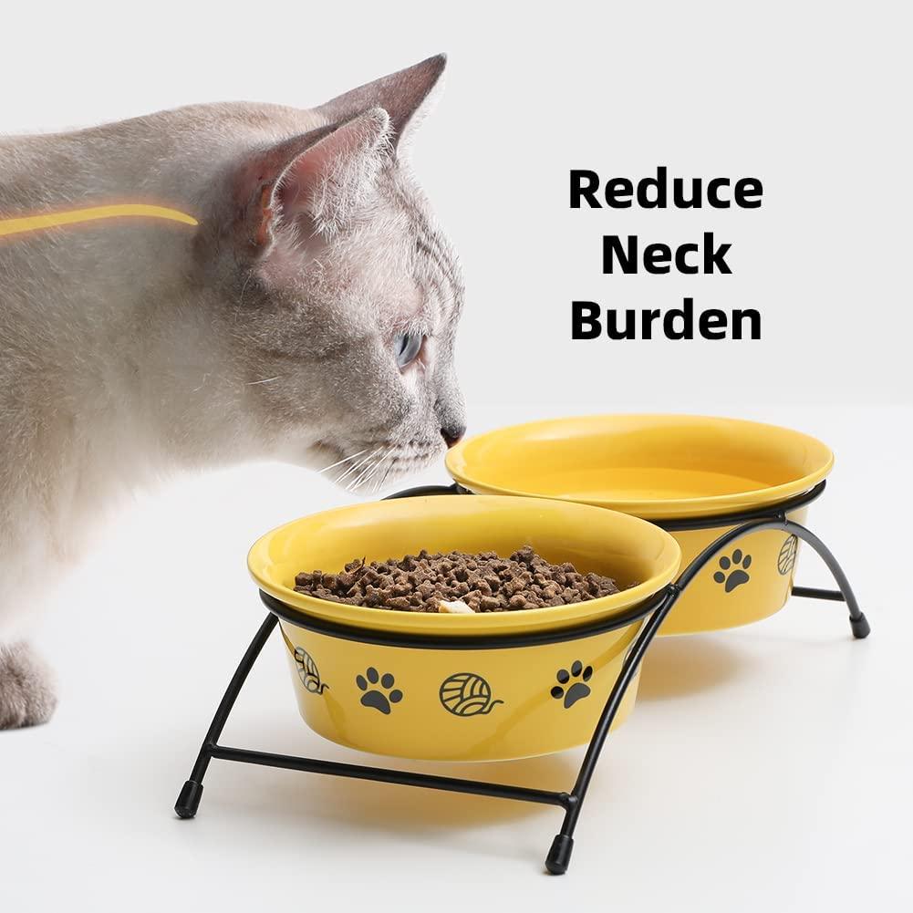 Raised Tilted Cat Bowls Stand Elevated Stainless Steel Pet Dog Food Water  Feeder