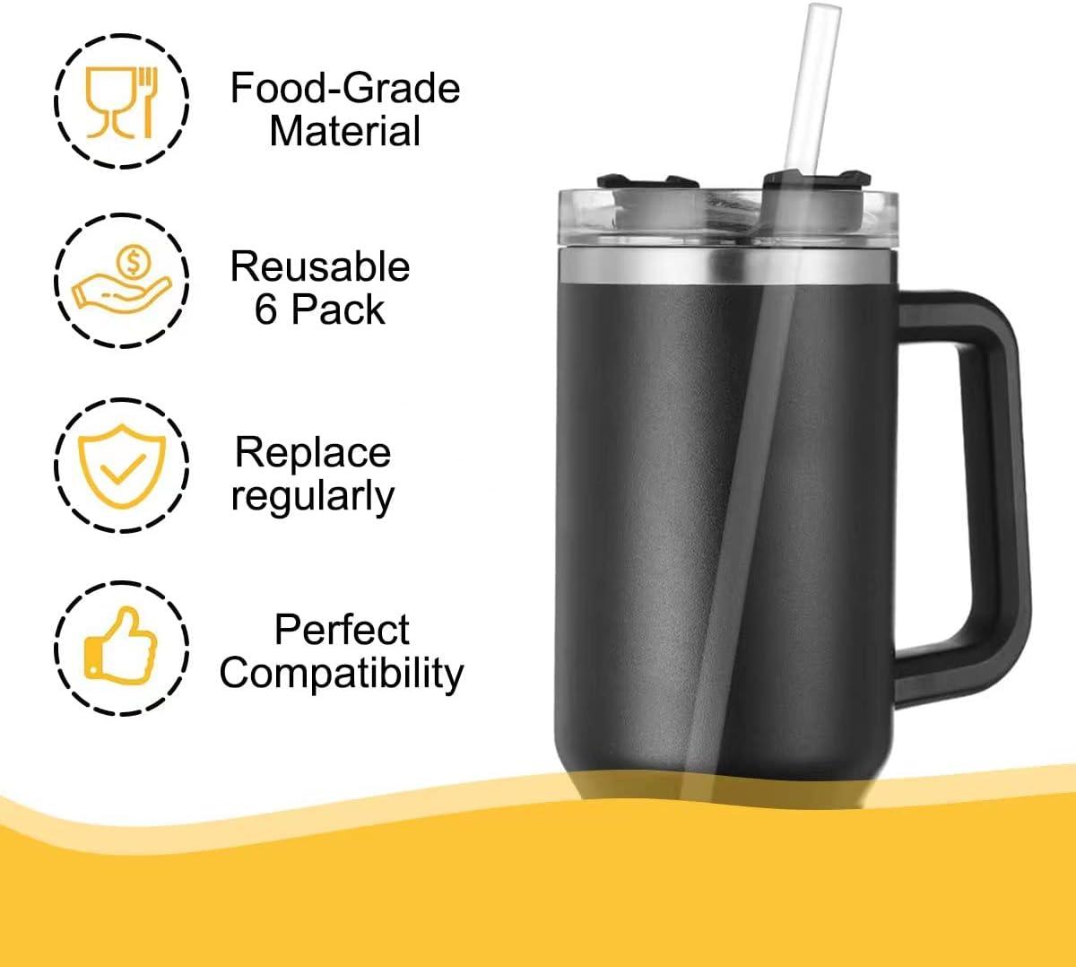 Replacement Straws (6-Pack)