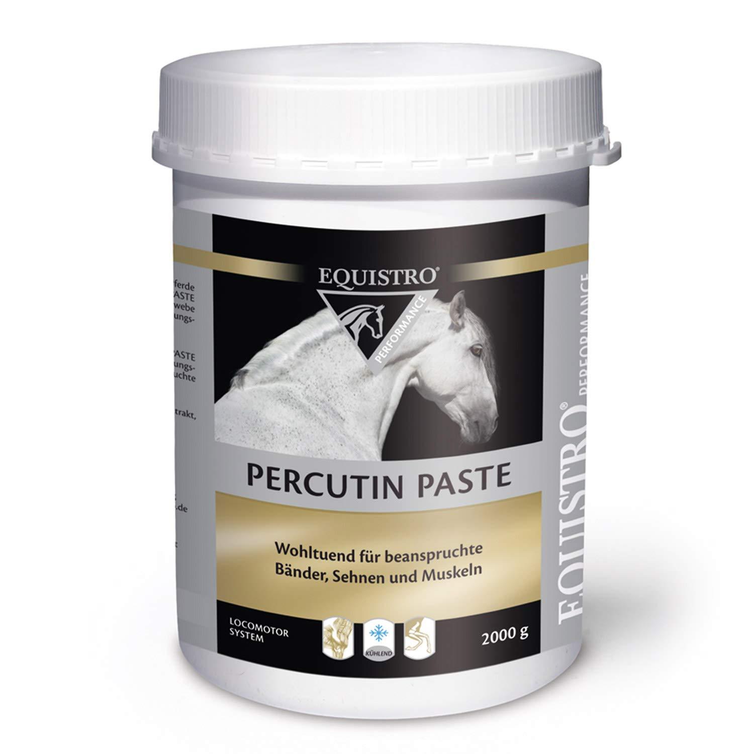 Casque Equitation Premium Réglable - Choplin