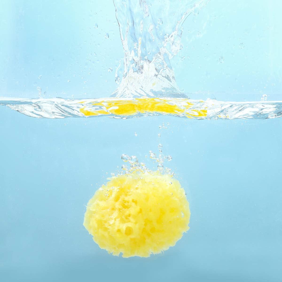 Natural Sea Sponge for Bathing Soft Premium Greek Sponges for