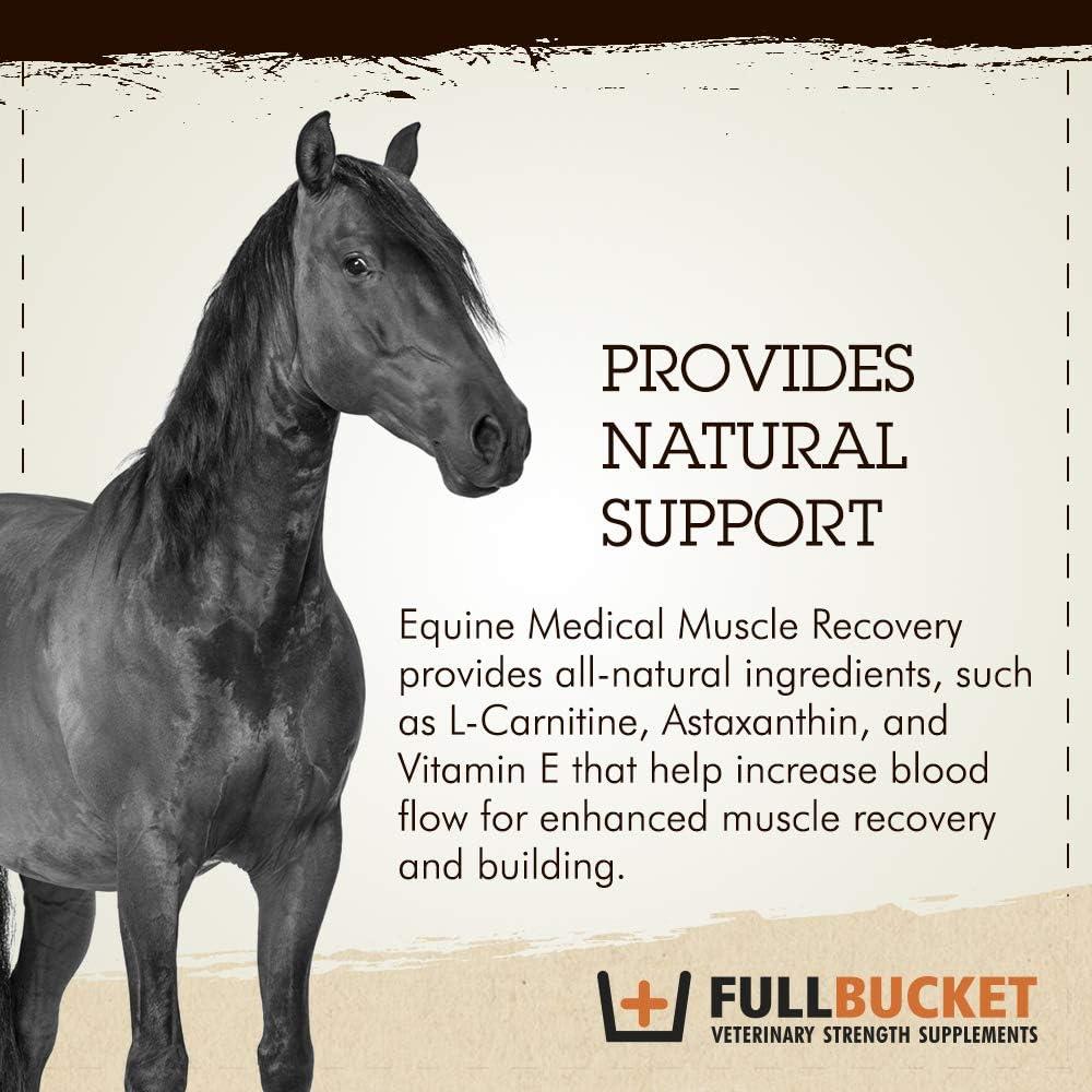 Equine Medical Muscle Recovery - Best Athletic Supplement for Horse  Performance & Muscle Recovery | Buy Now with Express International Delivery  | GoSupps.com