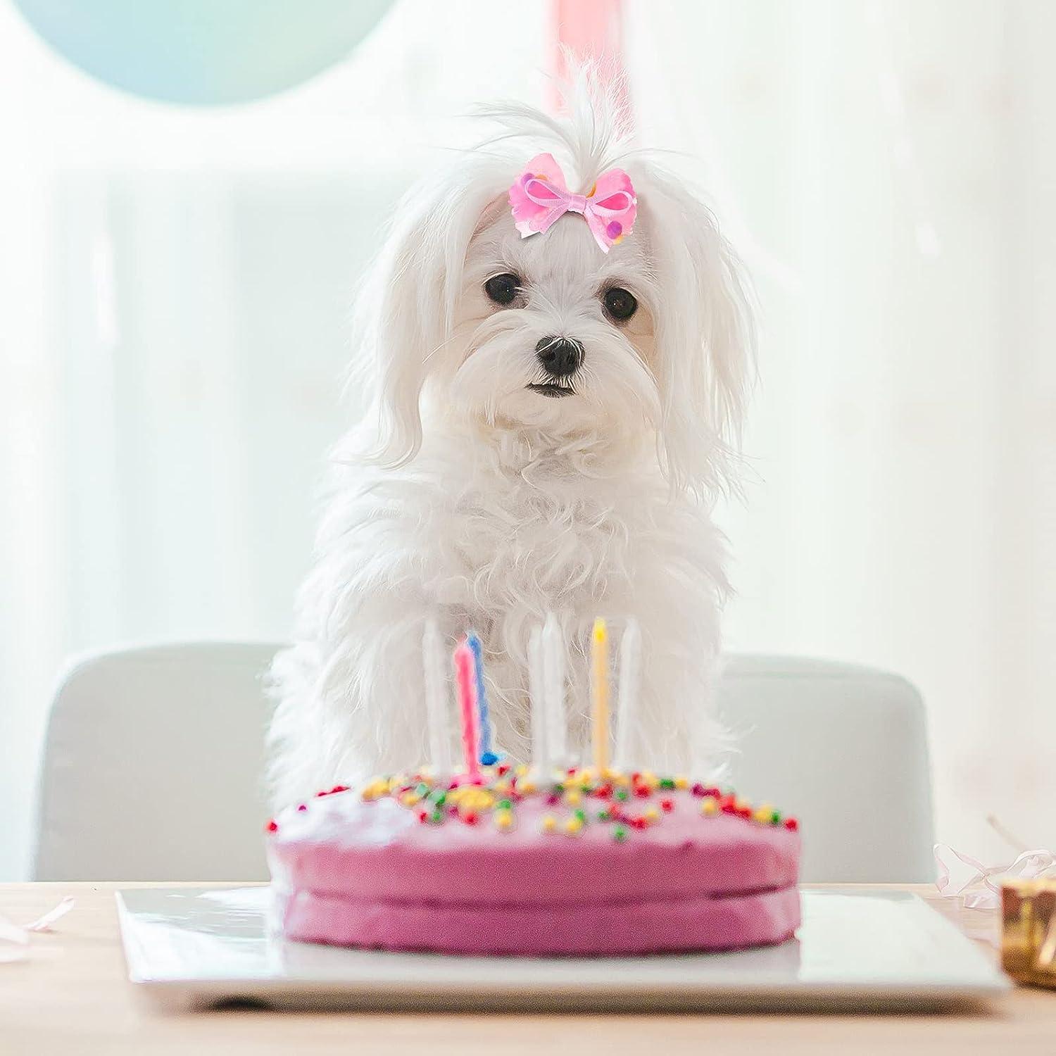 Chumia 100 Pcs Dog Hair Bows for Small Dogs Cute Hair