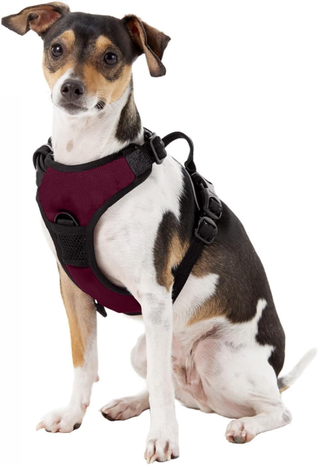 Littlearth Unisex-Adult NHL Colorado Avalanche Front Clip Pet Harness, Team  Color, X-Small