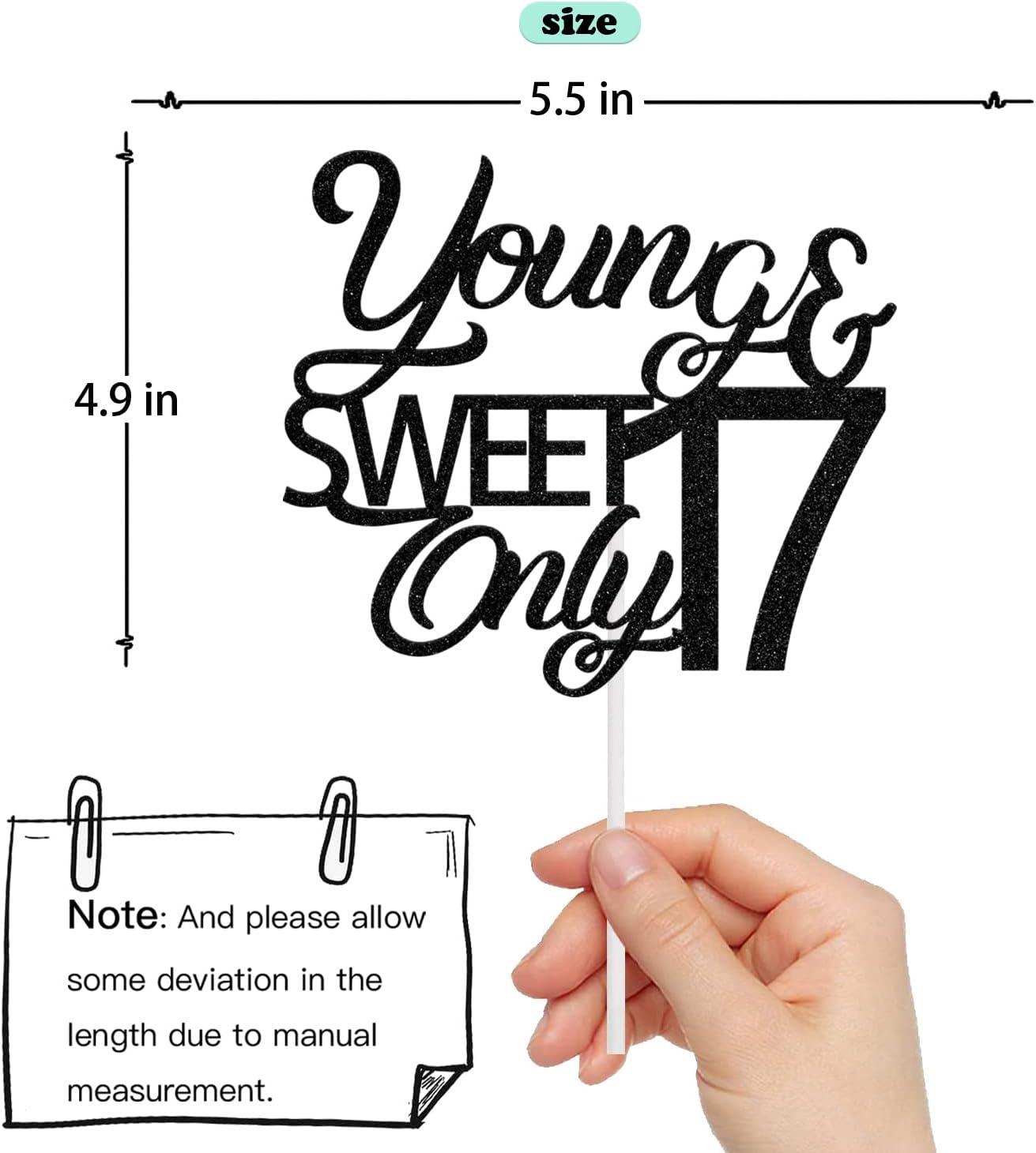 Young and sweet only 17 Cake Topper Happy 17th Birthday Cheers to 17 ...