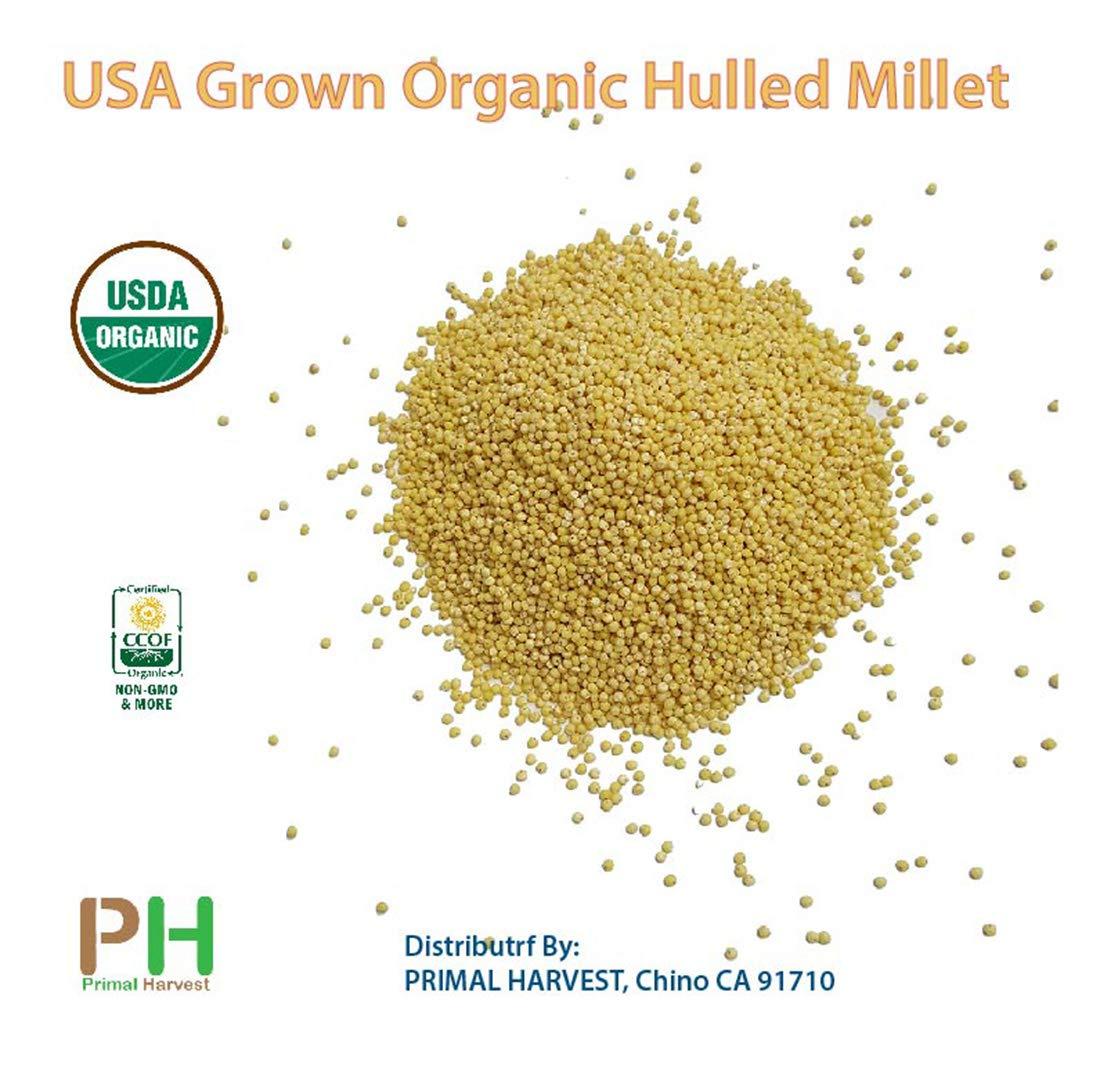 USA Grown Organic Millet Whole Grain Seeds non GMO Hulled Bulk Raw5LB