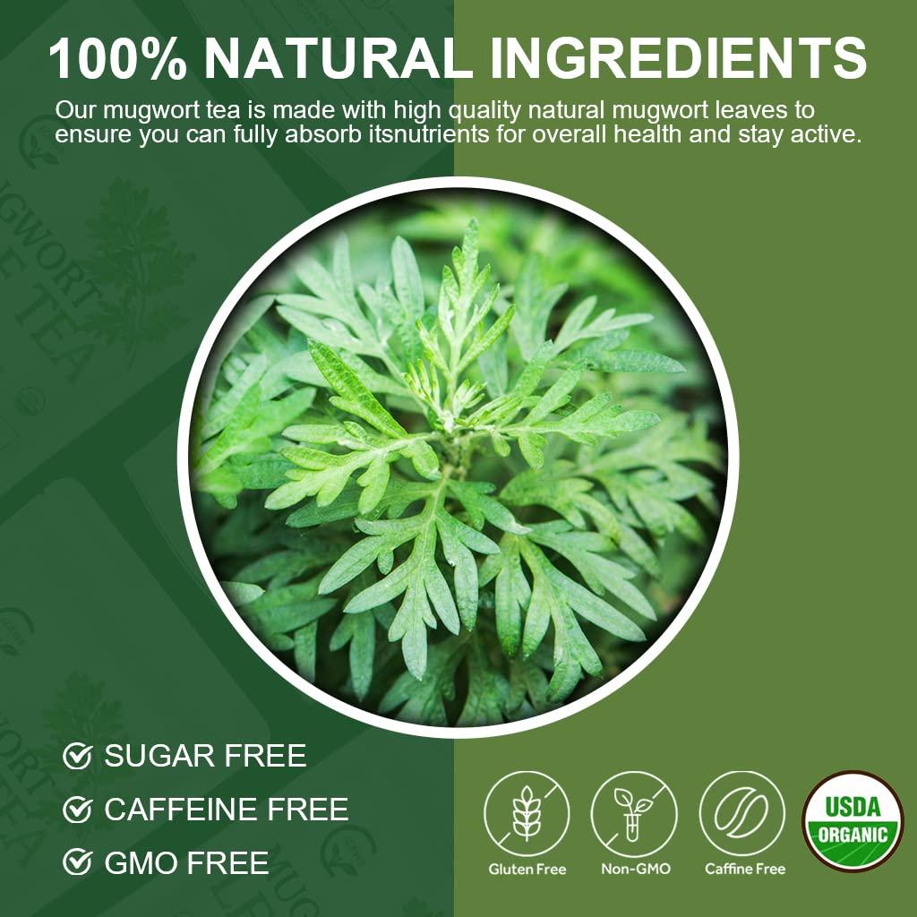 Organic Mugwort Tea Bags Improve Sleep and Digestion Caffeine Free
