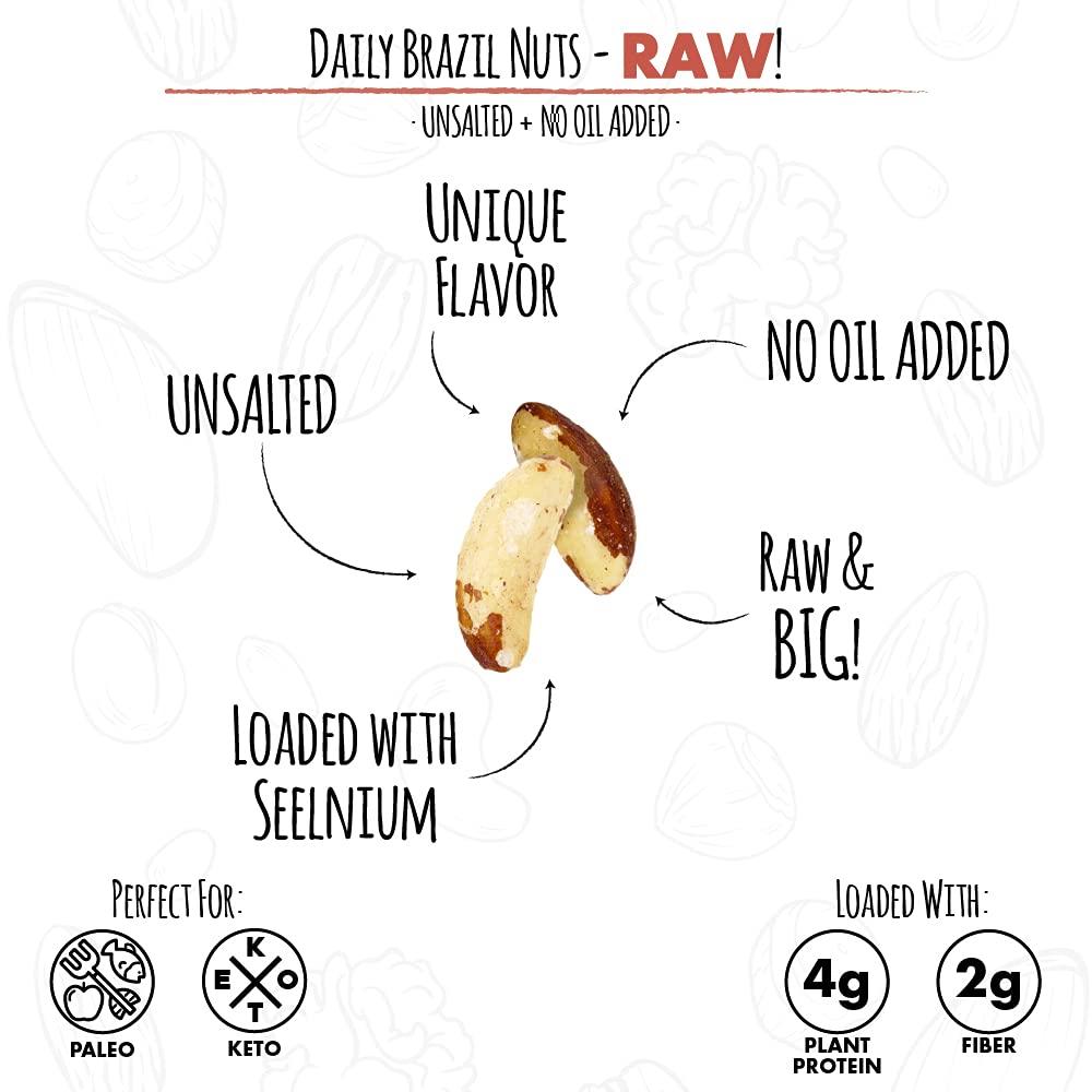 Roastery Coast Daily Nuts Whole Raw Brazil Nuts Selenium Nut