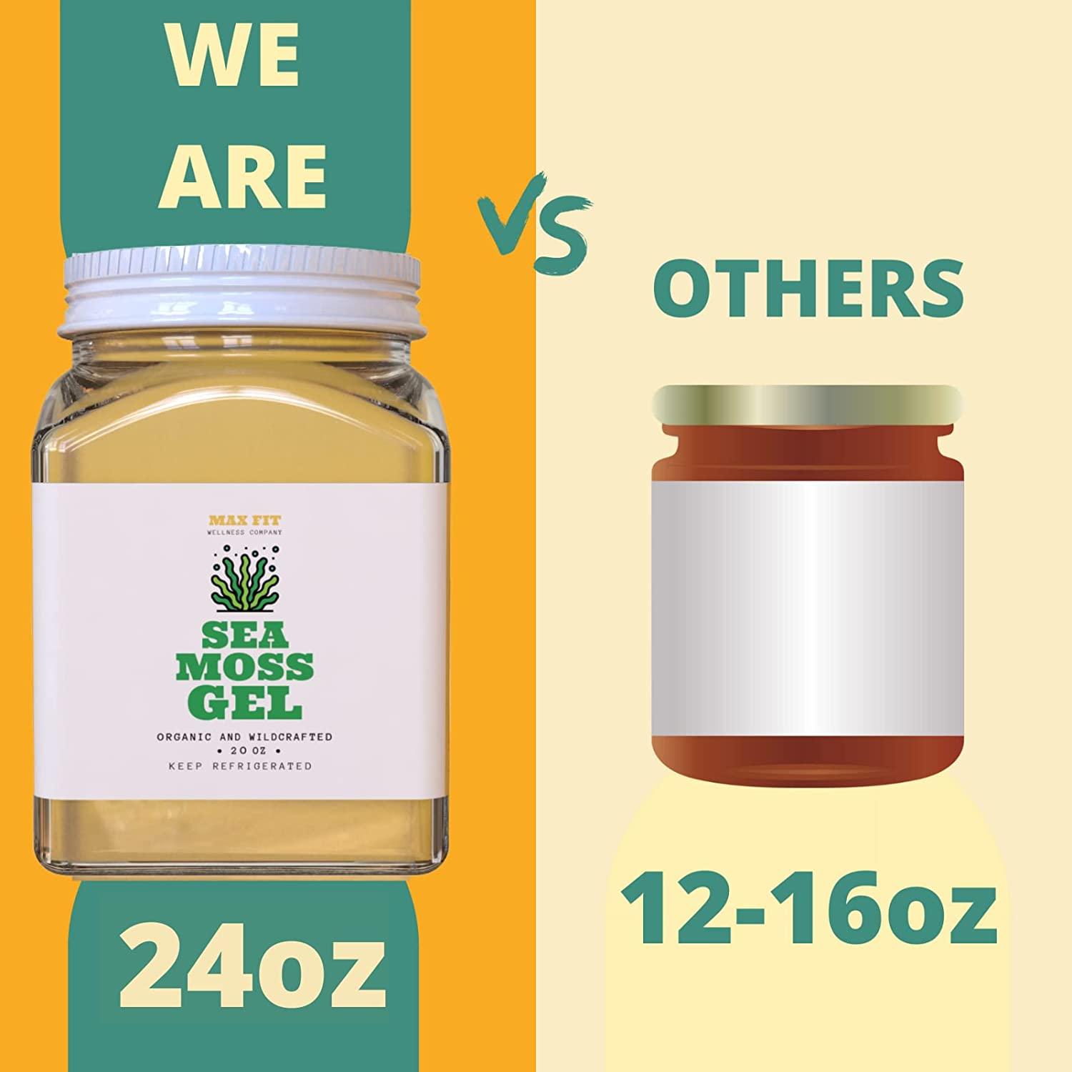 Max Fit Sea Moss Gel Pure Wild Crafted Organic Irish Seaweed Moss