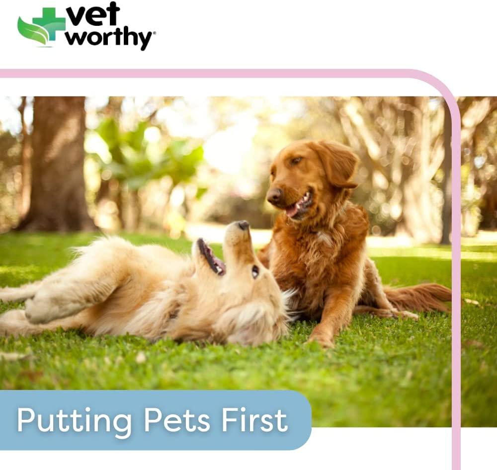 Vet Worthy Liquid Bandage for Dogs Seal and Protect Minor Wounds