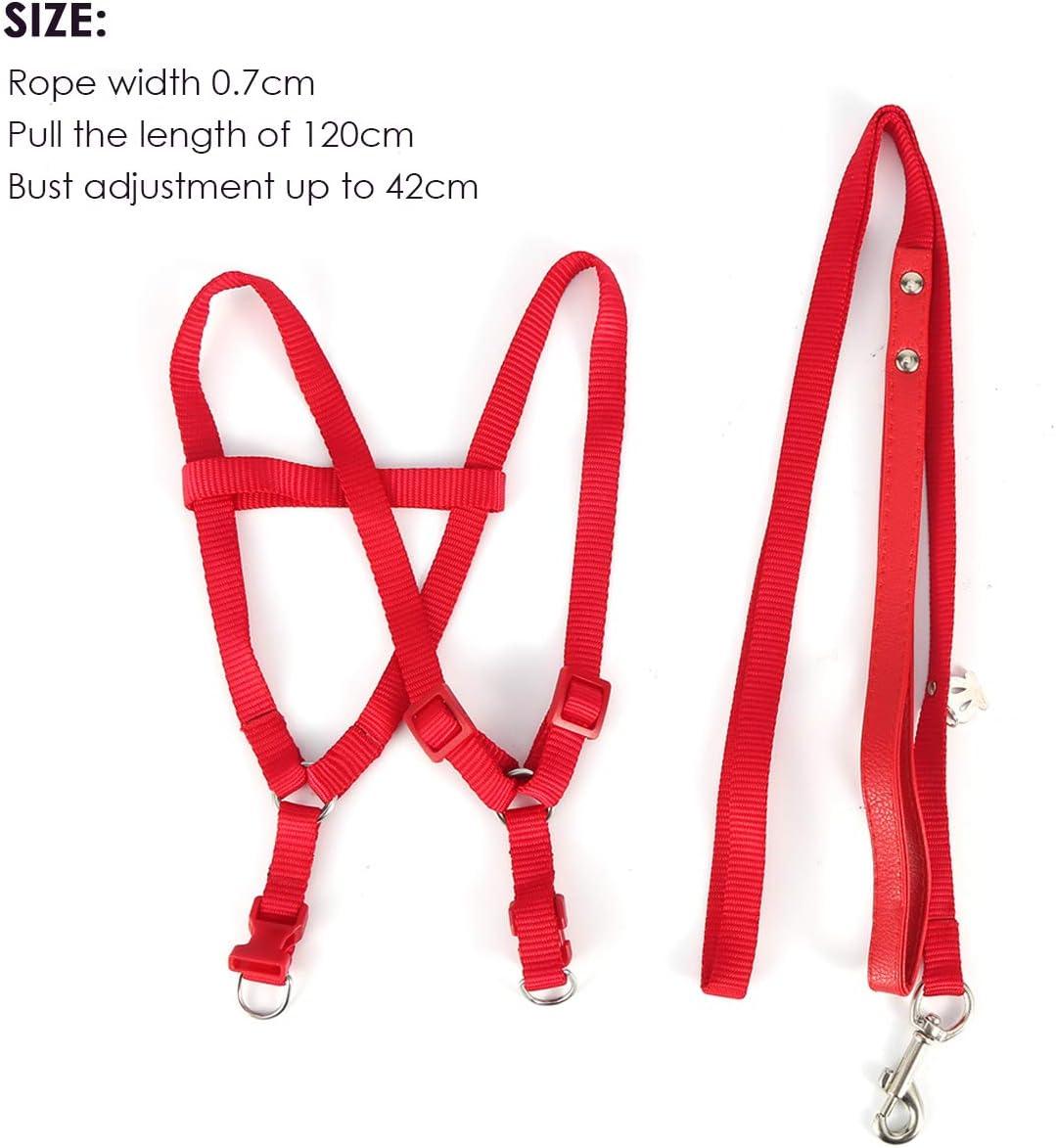 Imbracatura E Guinzaglio Per Uccelli Felenny - Regolabile, Anti-Morso, Per Ara, Conure E Parrocchetti (Verde, Piccolo)