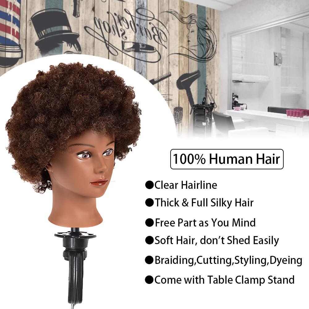 Afro curly Mannequin Head with Human Hair African American Mannequin Head  100% Human Hair Cosmetology Doll Head Hairdresser Styling Training Head  Manikin Head with Curly Hair Mannequin Head for Practice Braiding Doll