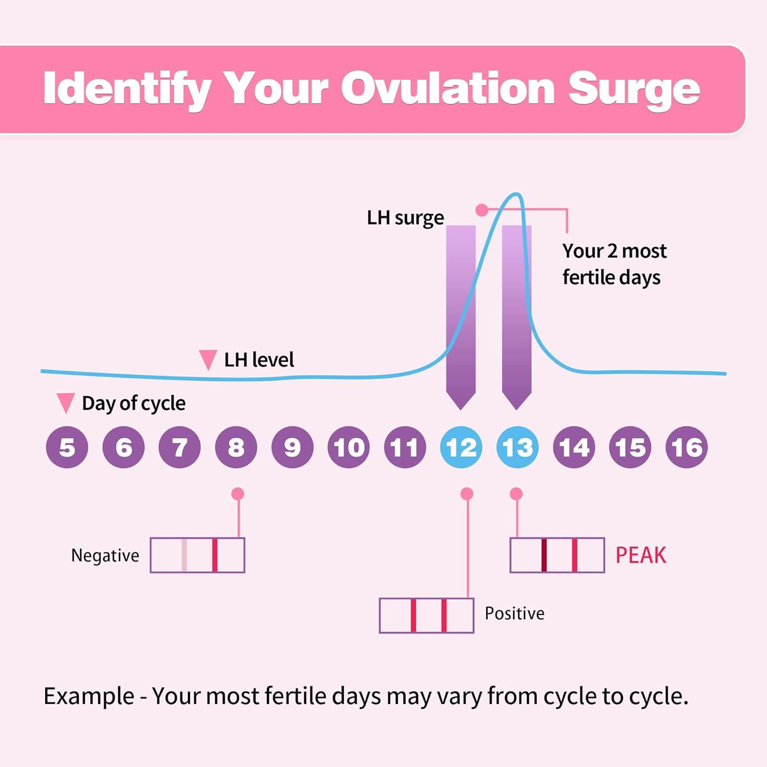 Ovulation Test Strips Kit 50 LH Strips with Free Cup Fertility