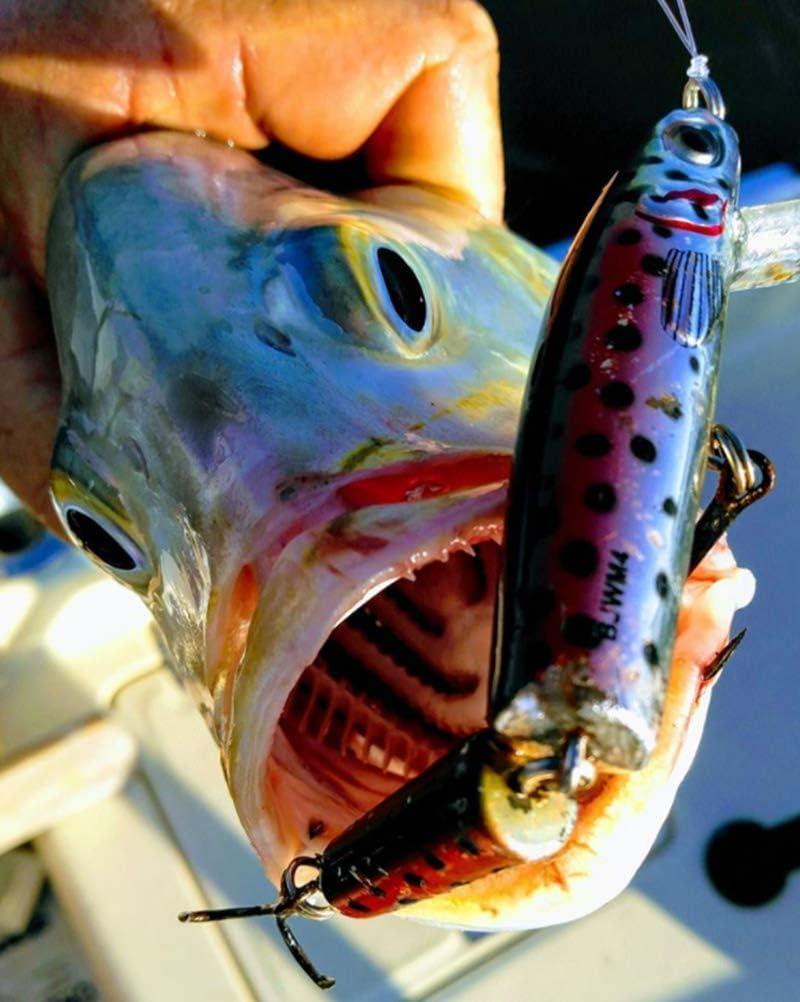 Bomber Lures Jointed Wake Minnow Fishing Lure - Produces a Fish