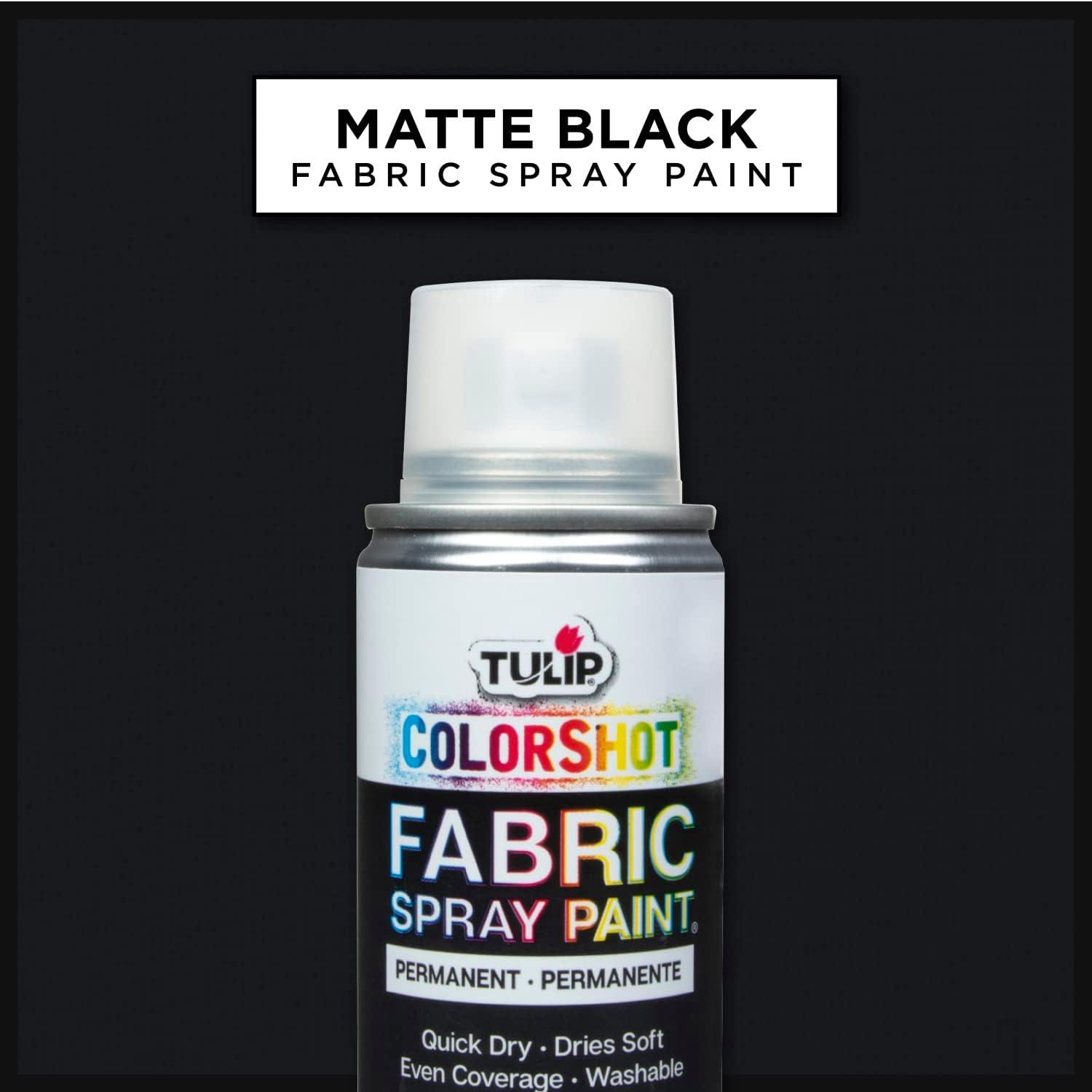 Tulip ColorShot Instant Fabric Spray Color 3oz. Black Black Color
