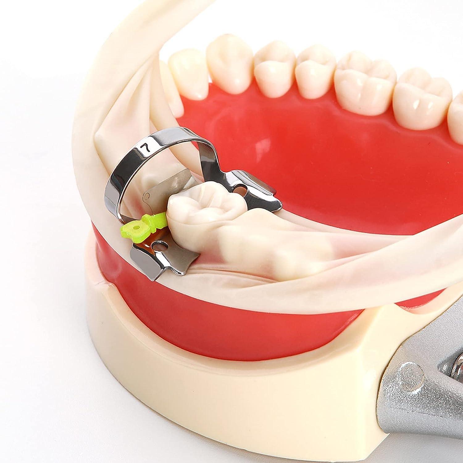 DAMUZHI Orthodontic Matrix Wedges Interproximal Wedge Guard with Metal Plastic Knife 3 Boxes