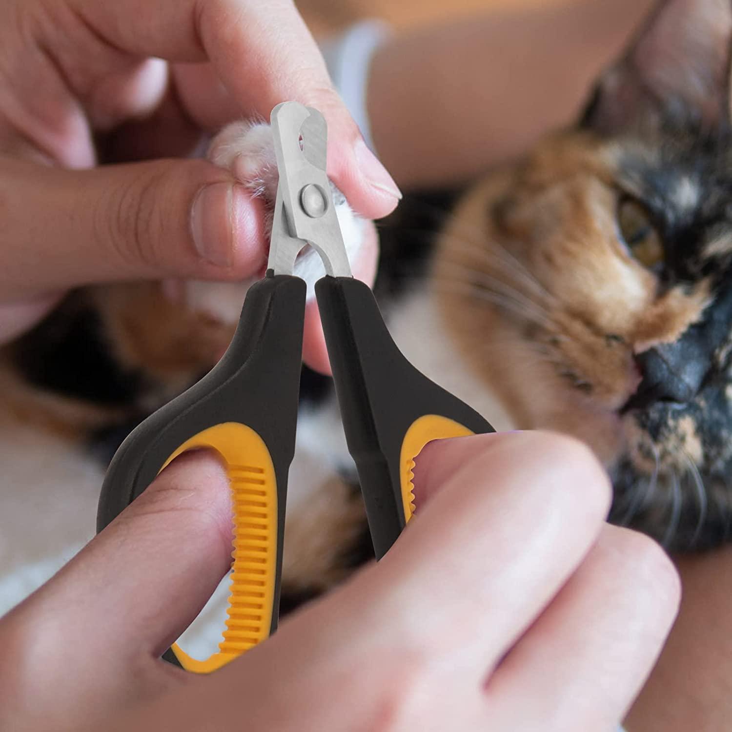 Best Cat Nail Clipper In 2024 - Top 10 Cat Nail Clippers Review - YouTube