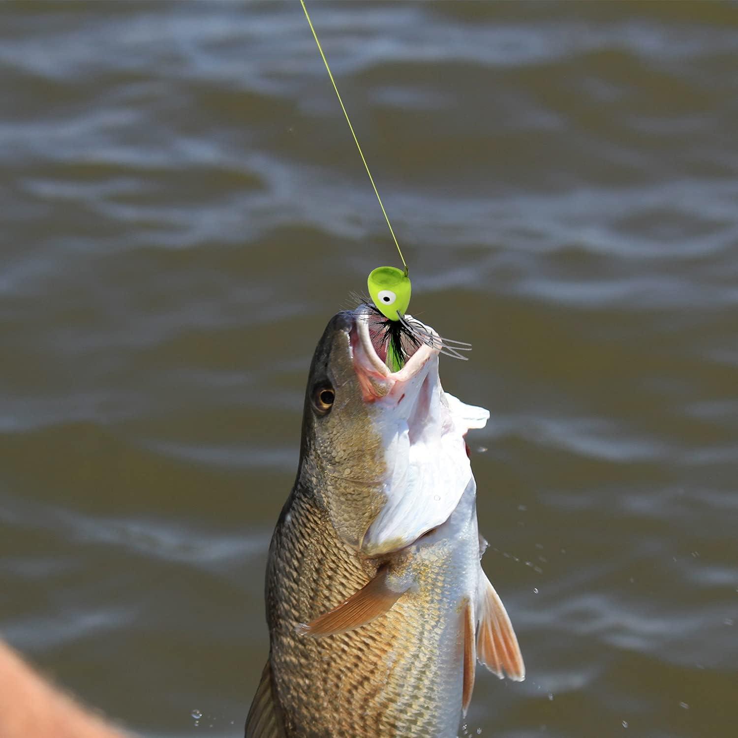 FishingPepo Fly Fishing Poppers, Topwater Fishing Lures Bass
