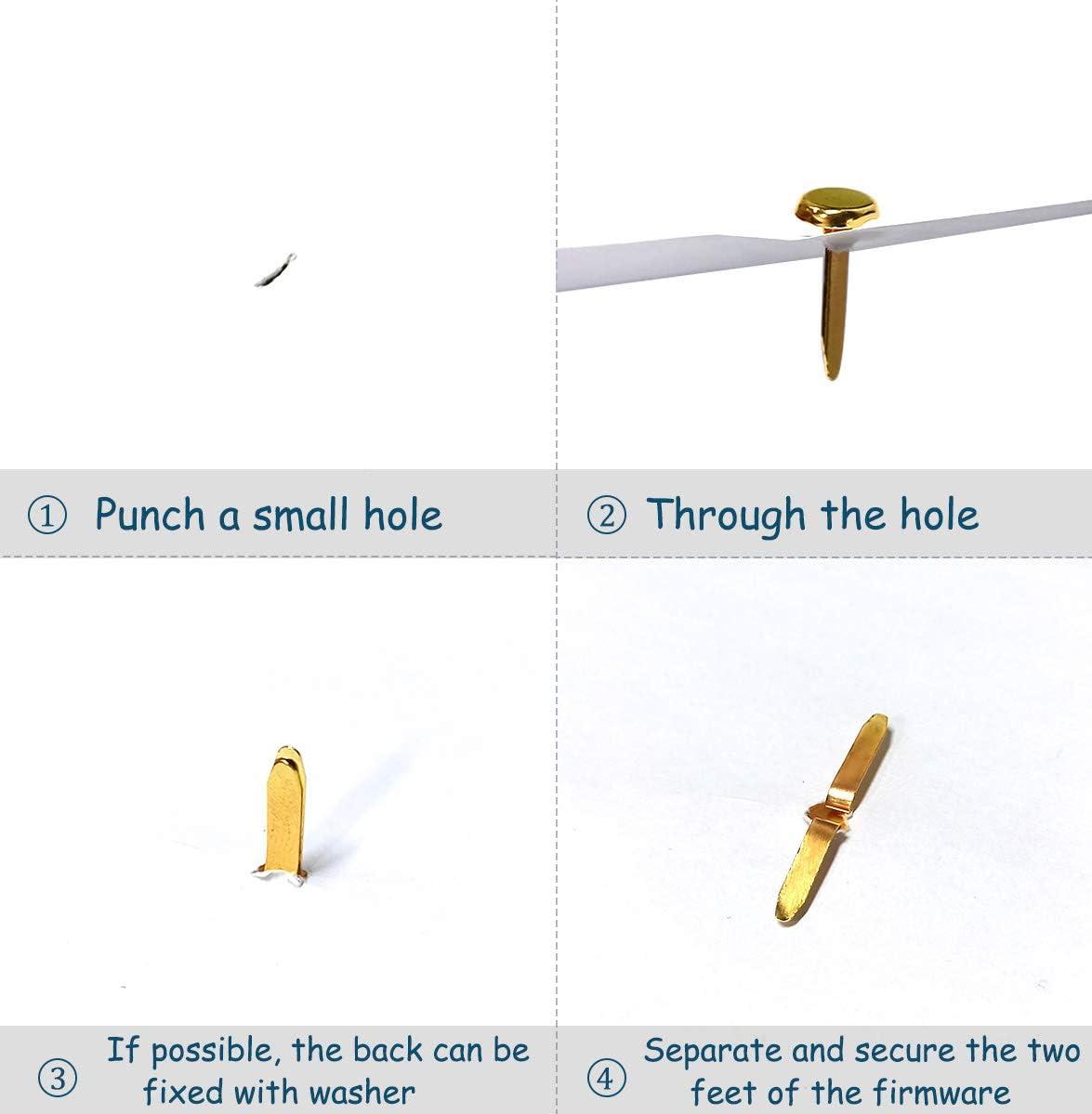 AJulyBee 100 Pcs Mini Brads, Brass Fasteners 20 x 8mm, Brass Metal
