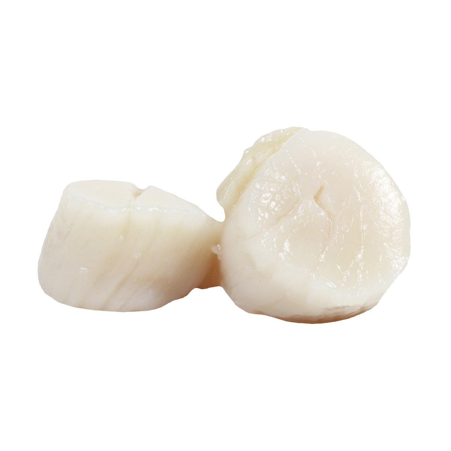 Sea Best 8/12 Colossal Scallops 16 oz Premium Quality Seafood