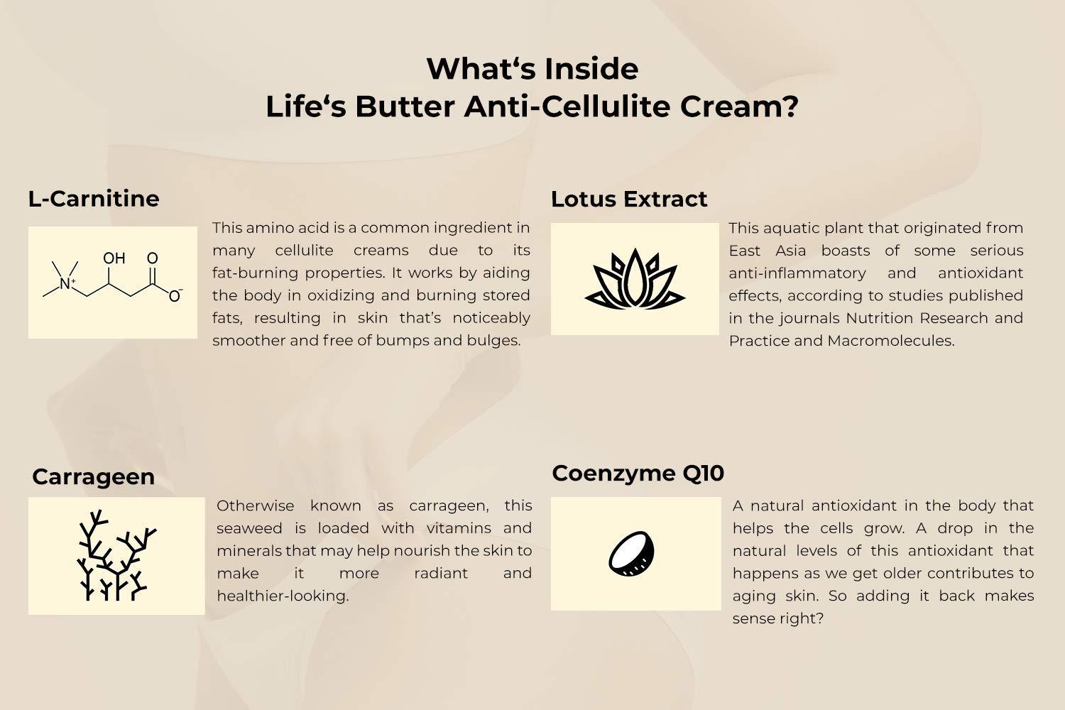 Life's Butter Anti-Cellulite Cream with Coenzyme Q10, L-Carnitine, and Coconut Oil - 6 Fl Oz (Pack of 1) | Buy Now with Express International Delivery | GoSupps.com Life's Butter Anti-Cellulite Cream with Coenzyme Q10, L-Carnitine, and Coconut Oil - 6 Fl Oz (Pack of 1) | Buy Now with Express International Delivery | GoSupps.com