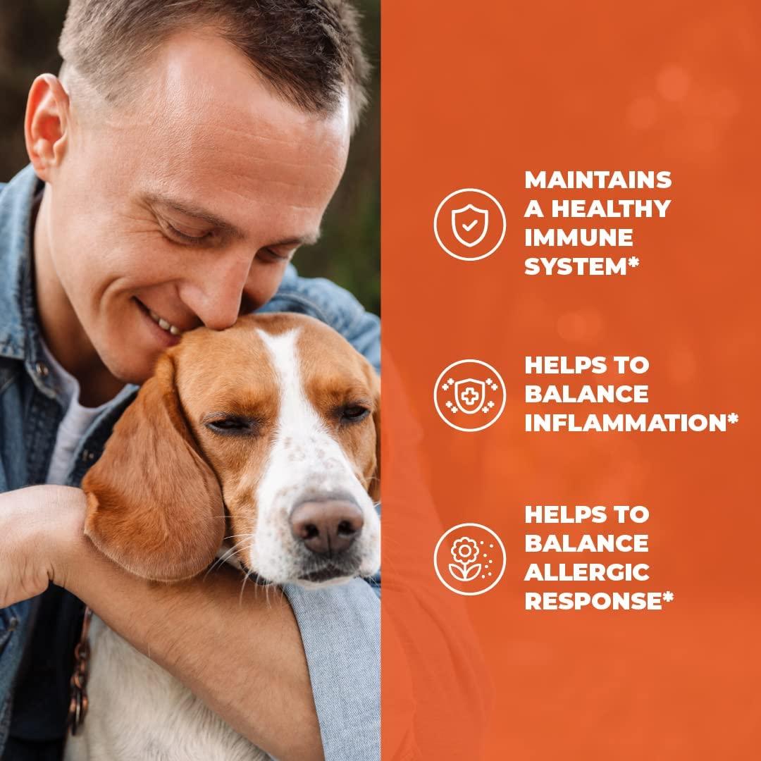 Quercetin with Bromelain Immune Support Supplement Allergy Relief